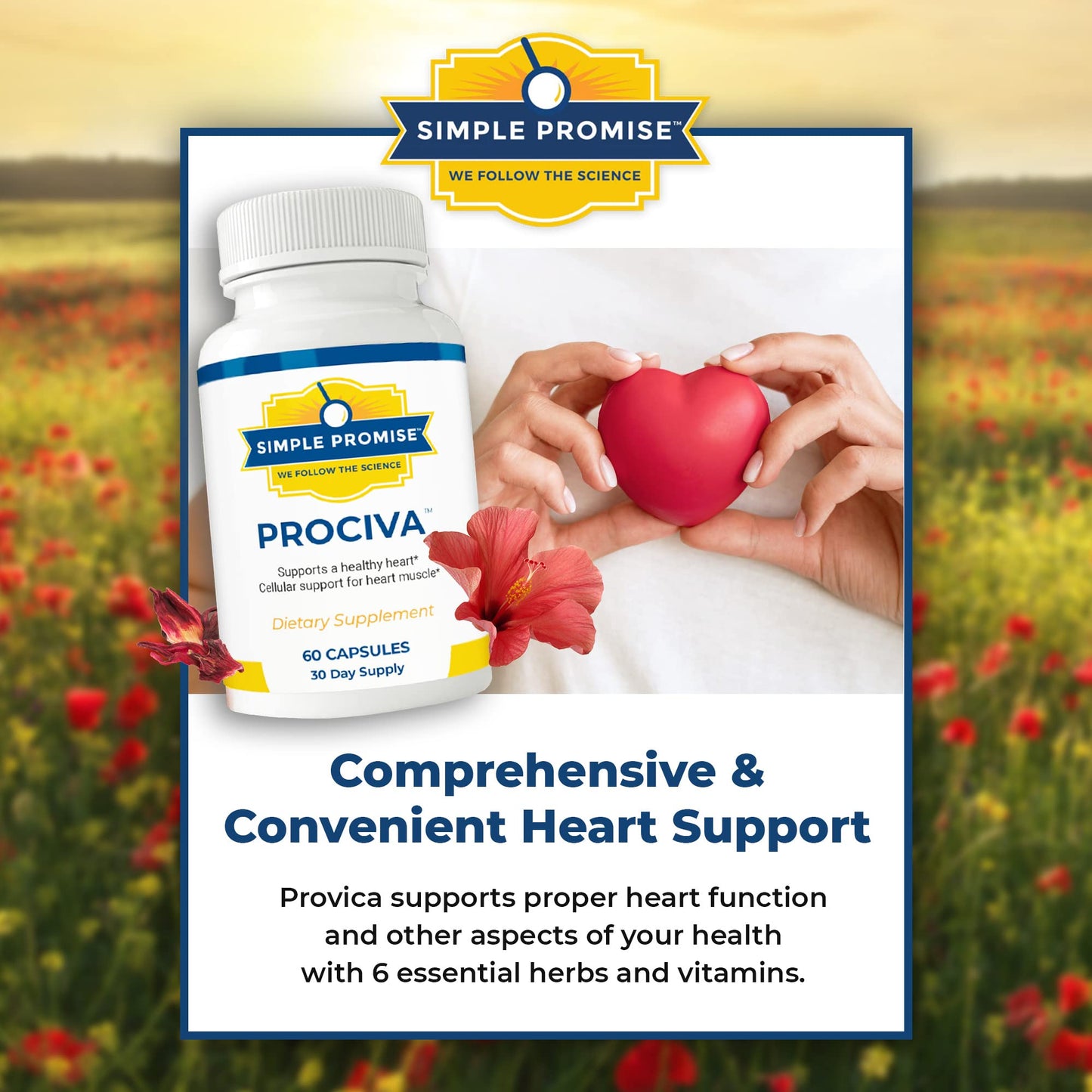 Simple Promise Prociva Arjuna Bark Extract Heart Health Supplement Capsule, 60 Count