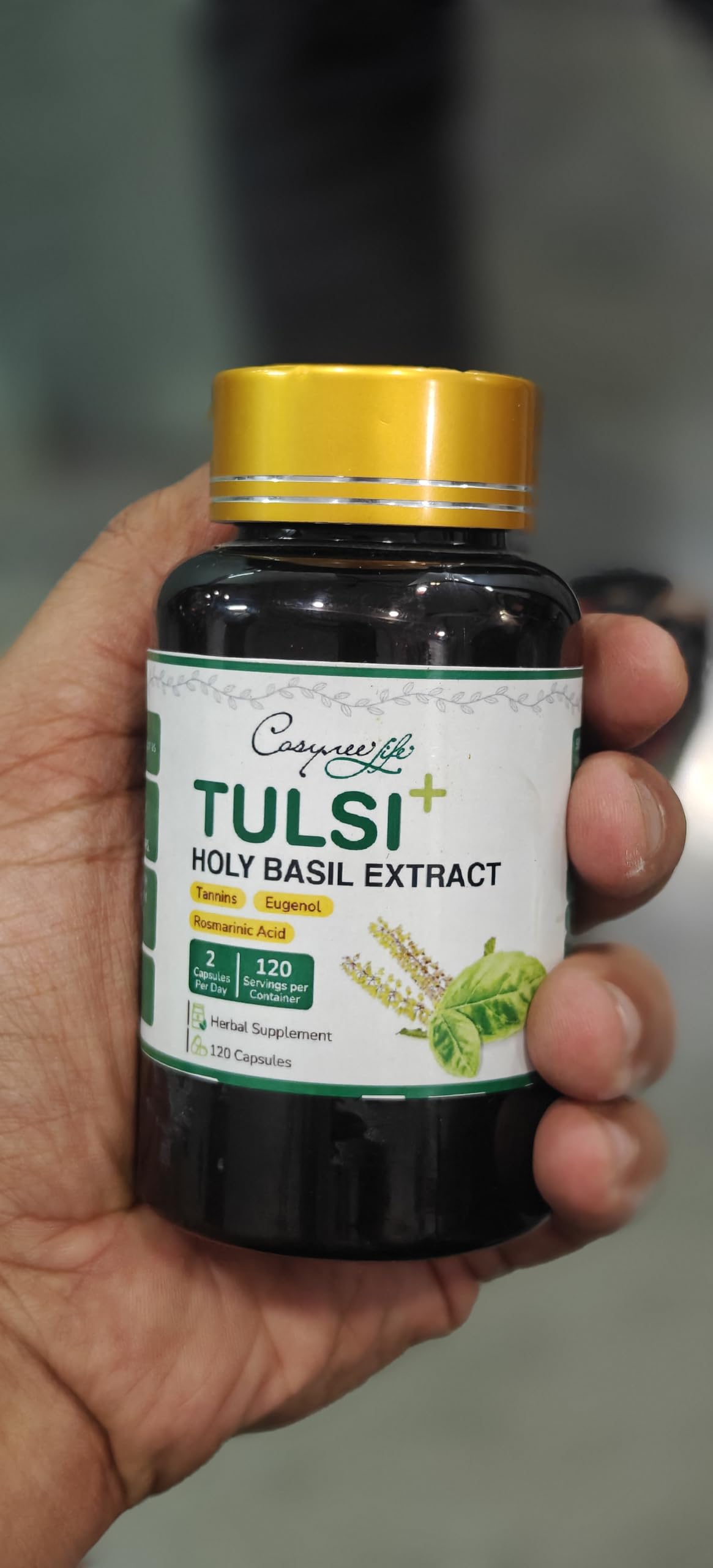 Cosynee Life Holy Basil (Tulsi) Extract 300 mg per Capsule, 120 Capsules