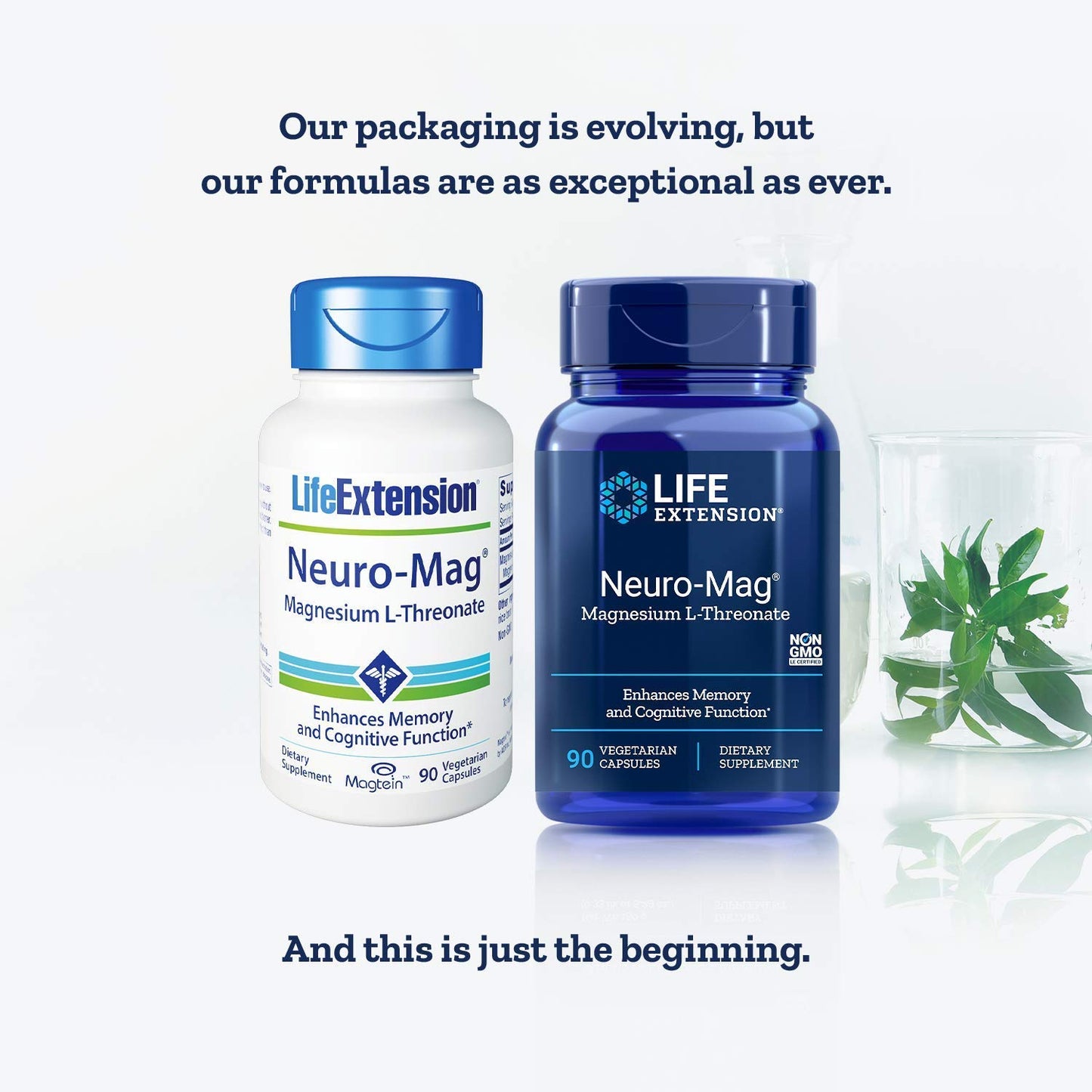 Life Extension Neuro-Mag Magnesium L-Threonate Dietary Supplements Capsules, 90 Count
