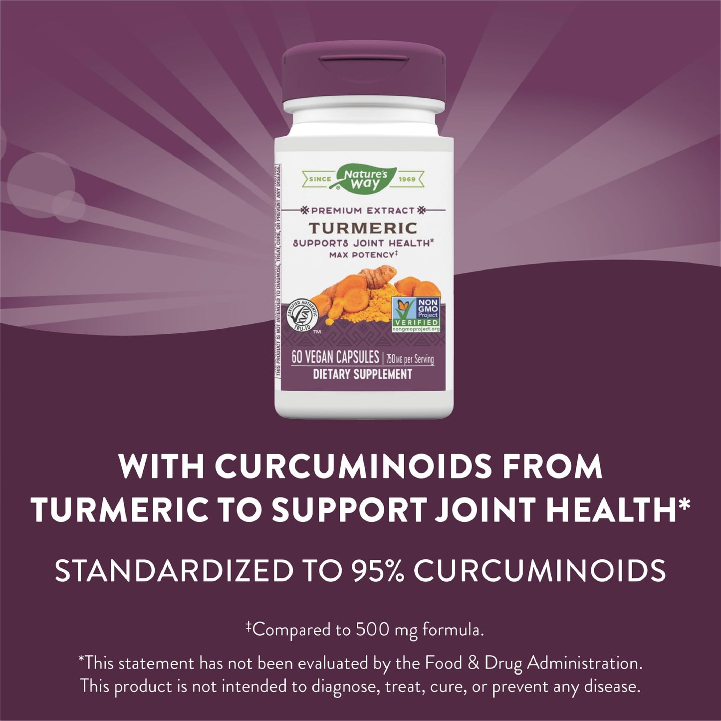 Nature's Way Turmeric Max Potency Premium Extract 120 Tablets