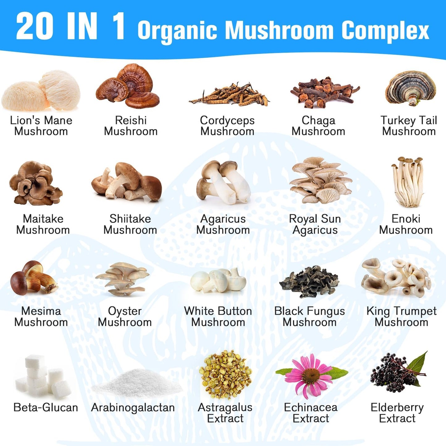 Dmeisy Mushroom Supplement 20-in-1 Mushroom Complex 120 Capsules