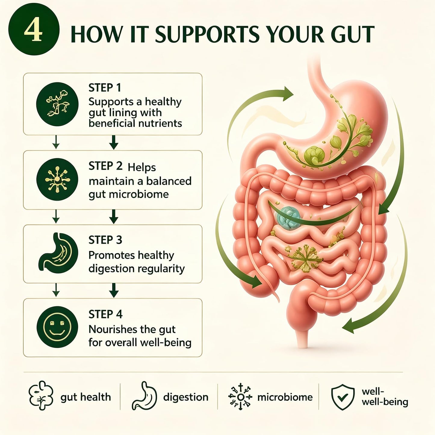 QoCore Supplement Infuse Probiotic Kombucha Capsule, 1 Count