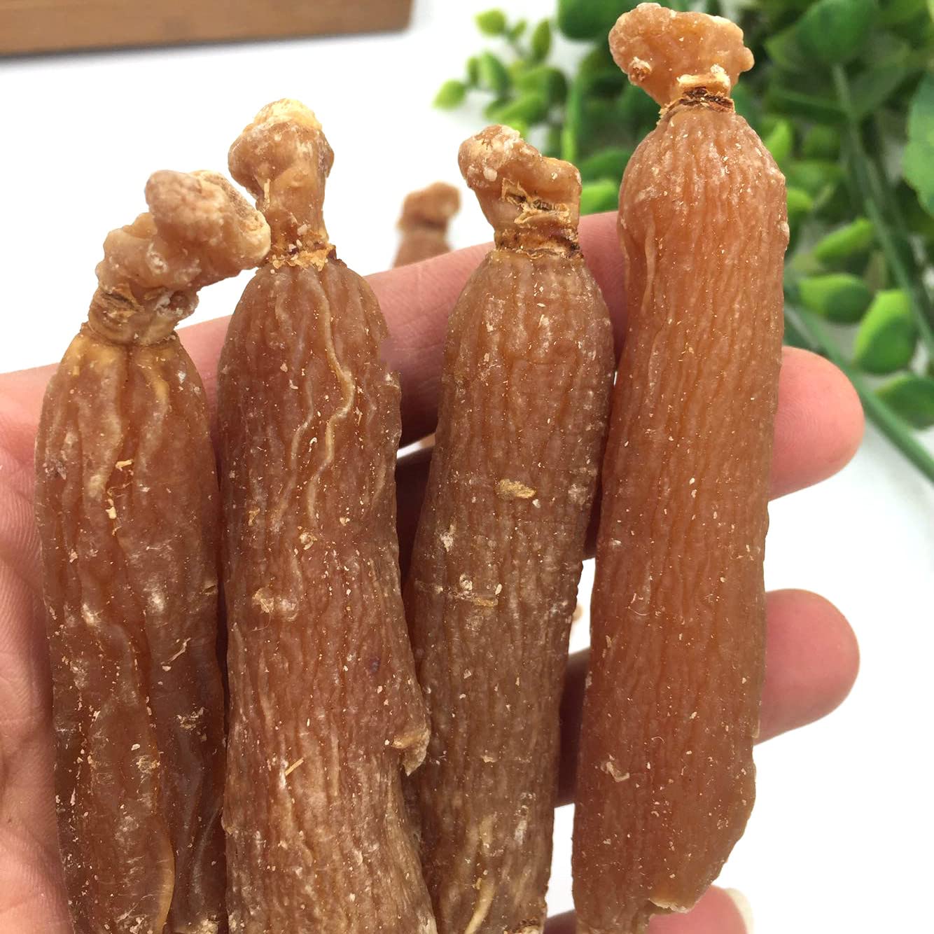 Bright sunlight Korean Red Ginseng Caplet 1 Count