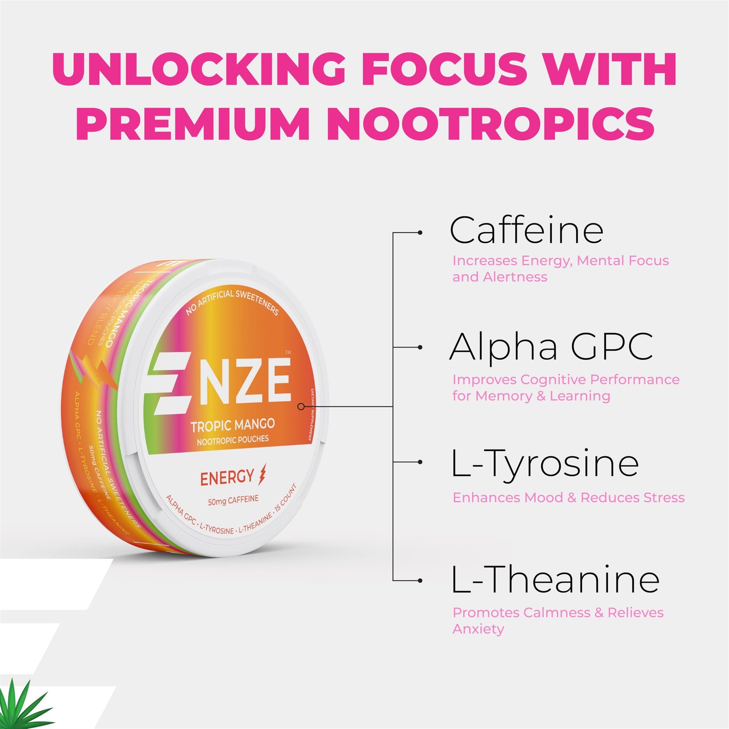 NZE Caffeine Nootropic Caplets with 50mg Caffeine, Alpha GPC, L-Tyrosine & L-Theanine, No Sugar or Artificial Sweeteners, 5 Caplets