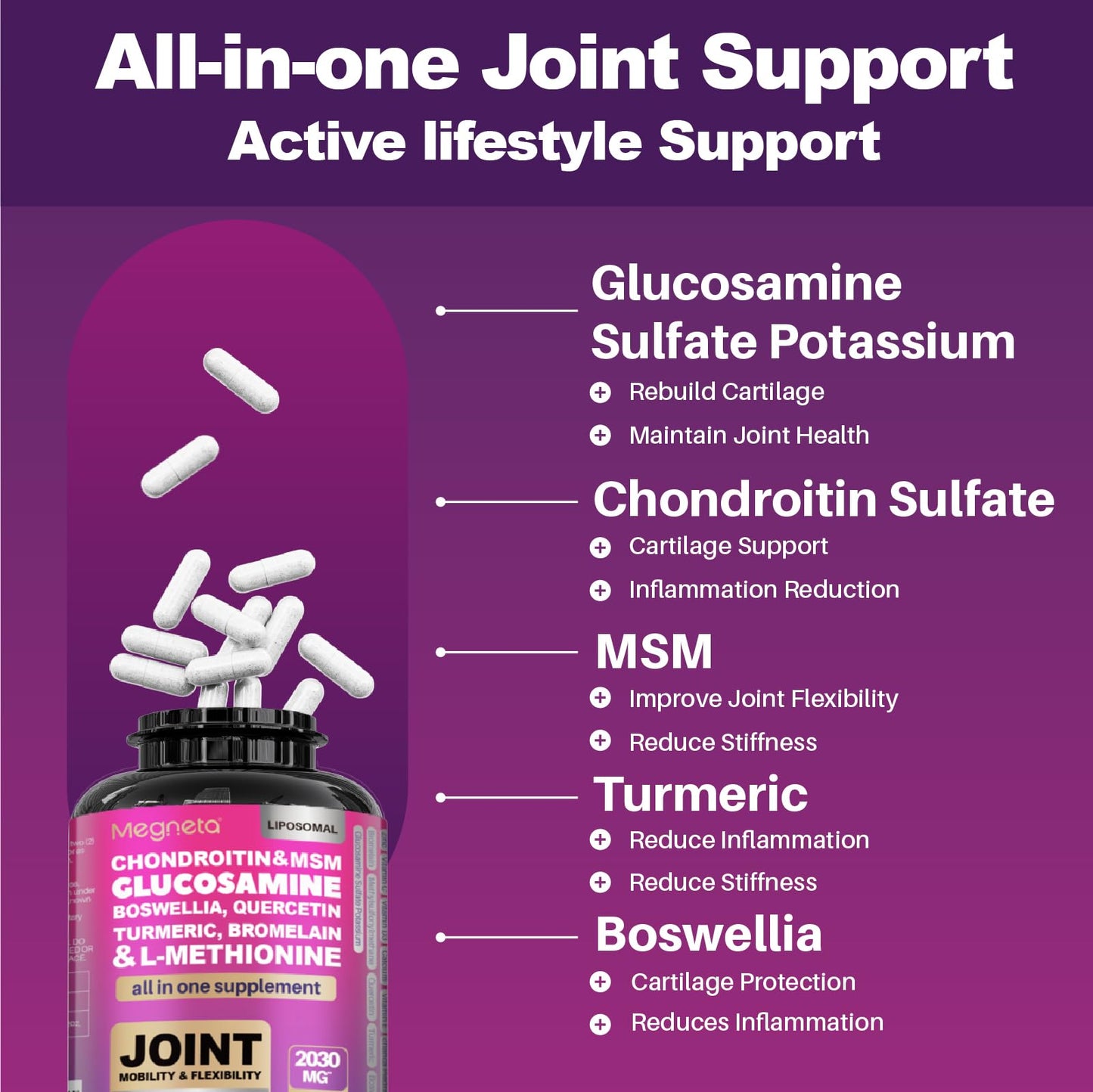 MEGNETA 19-in-1 Joint Support Capsules, 60 Count