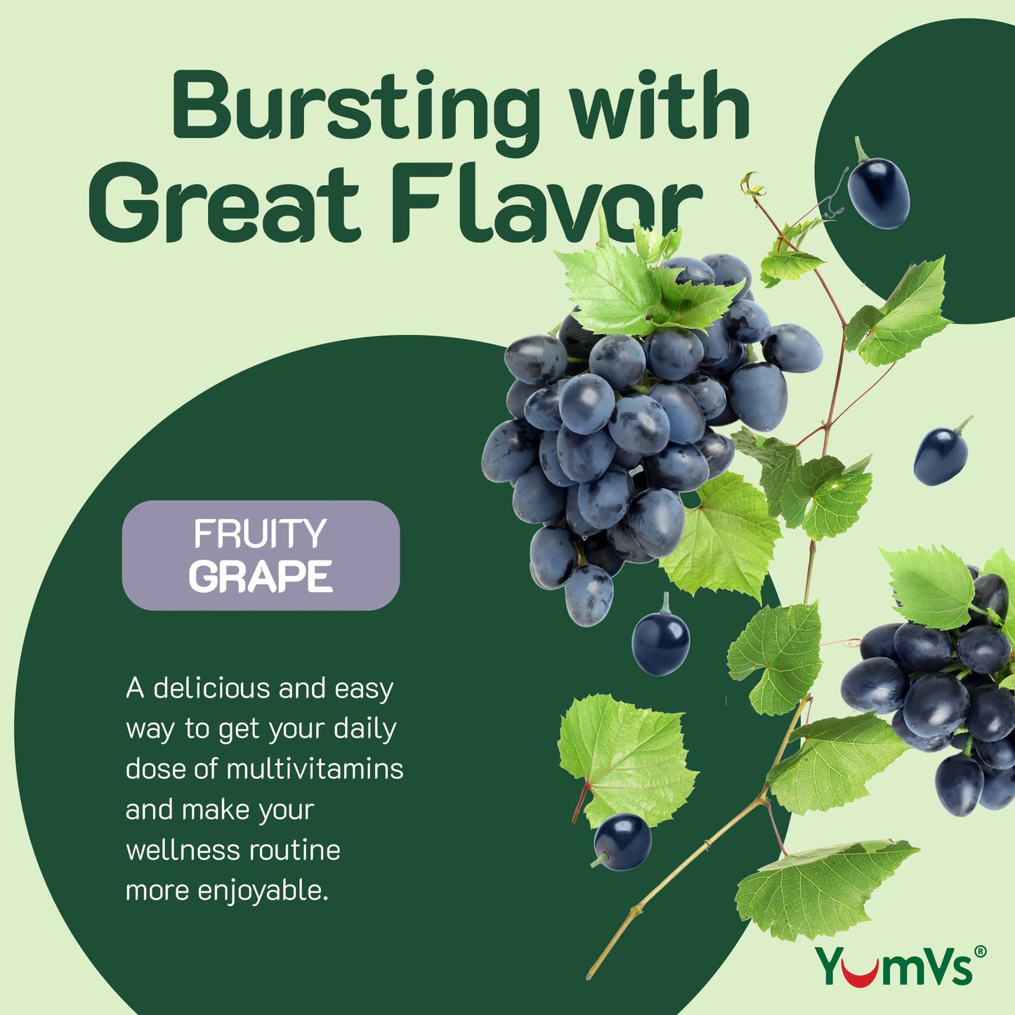 YUM-V'S Iron Gummies Gummy, 60 Count