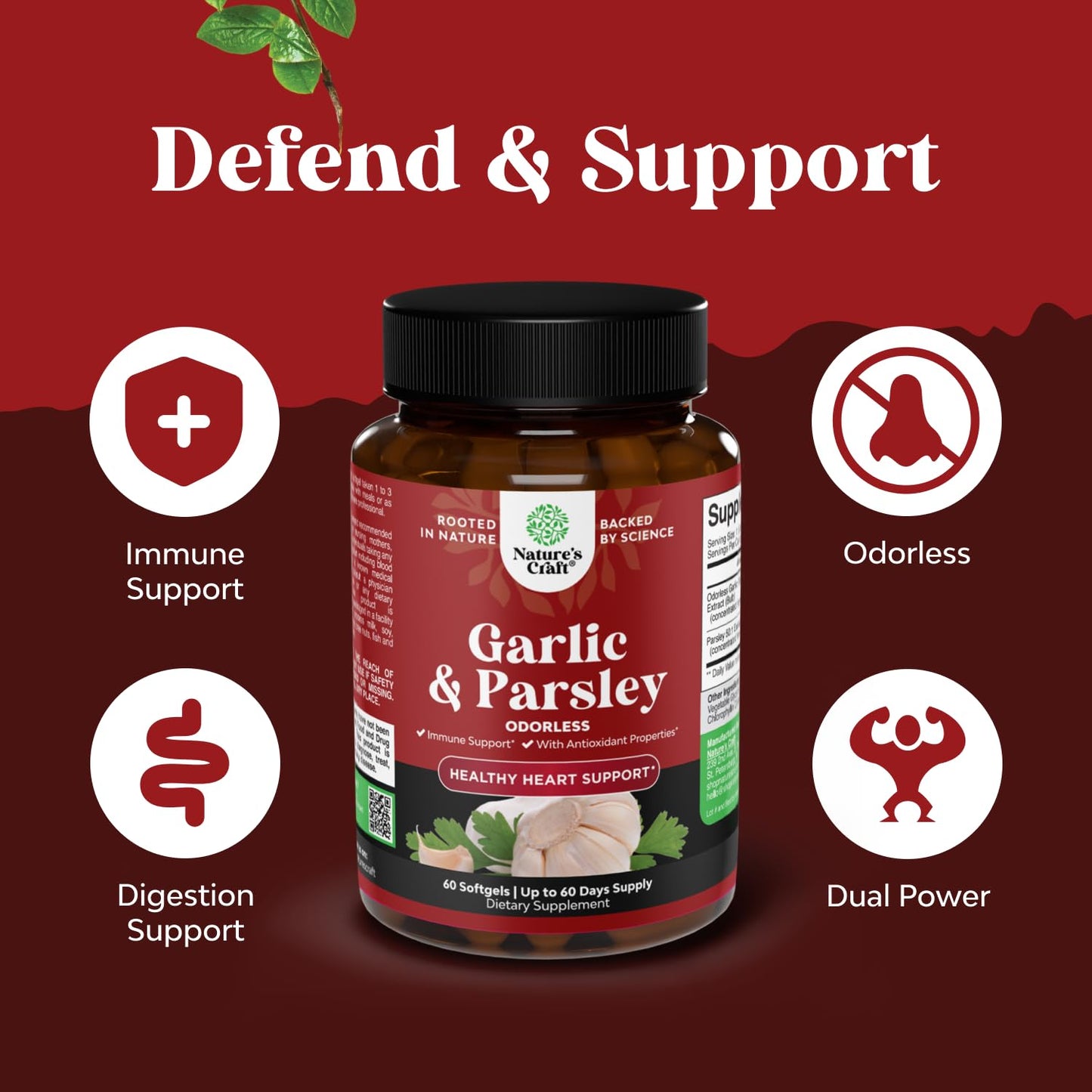 Natures Craft Concentrated Odorless Garlic Softgels with Parsley Extract & Aged Garlic, Circulatory Health, 60 Softgels