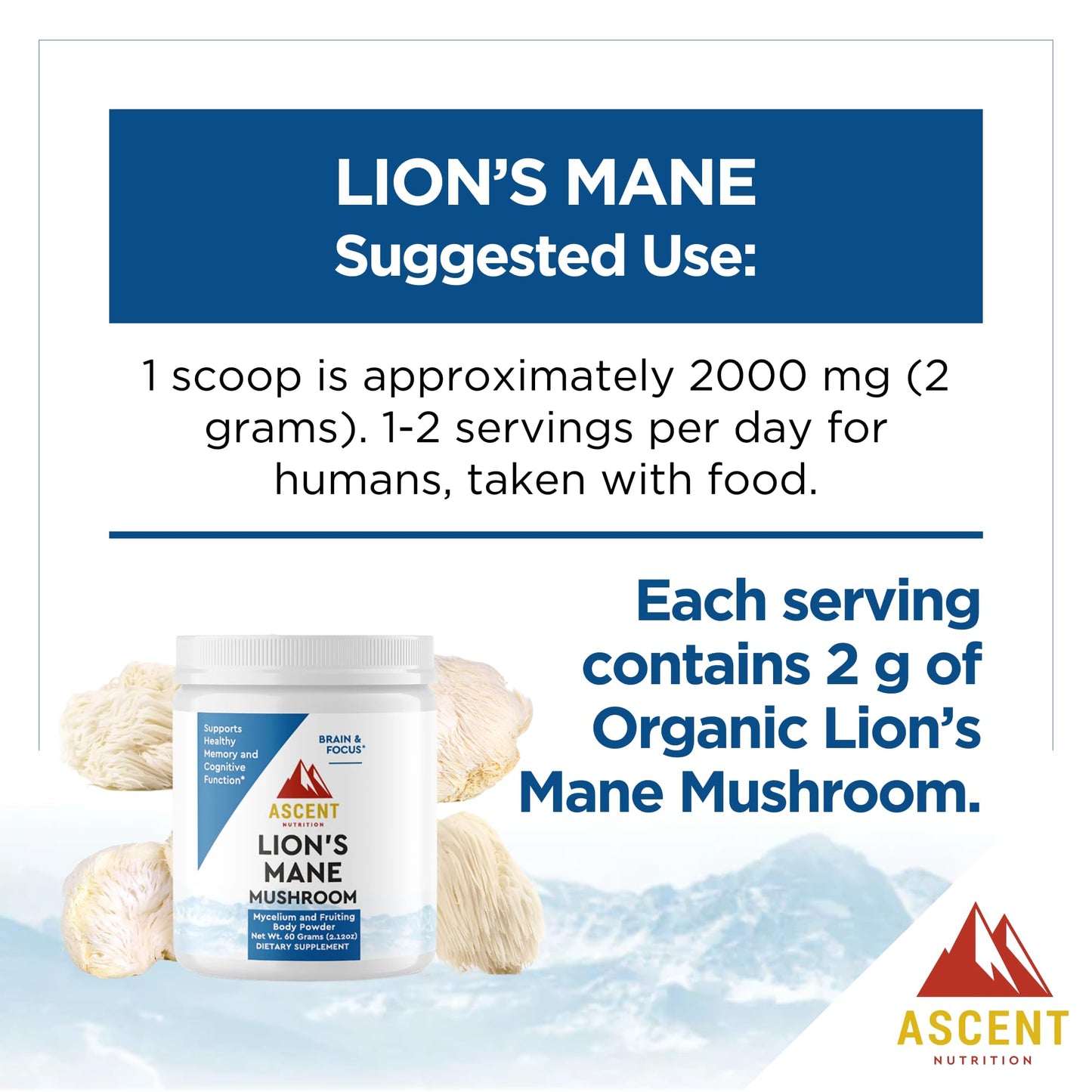 Ascent Nutrition Organic Lion's Mane Mushroom Powder, 2.12 oz