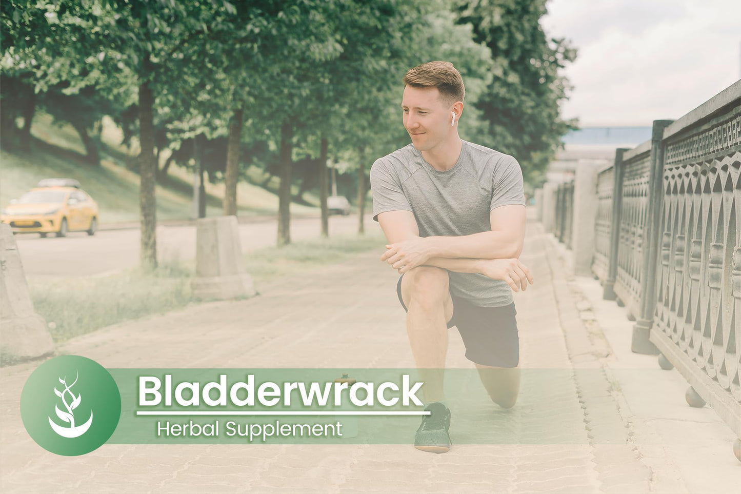 Pure Organic Ingredients Bladderwrack Capsules 100 Capsules