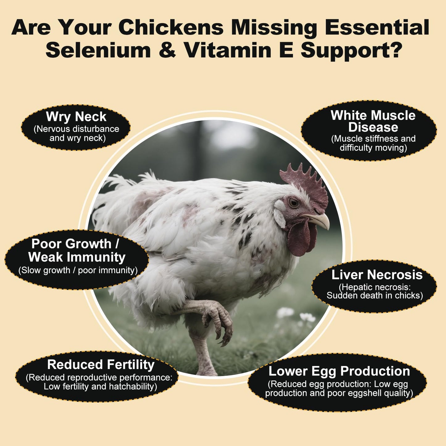 LuxeVib E+S Poultry Vitality Formula Powder 1