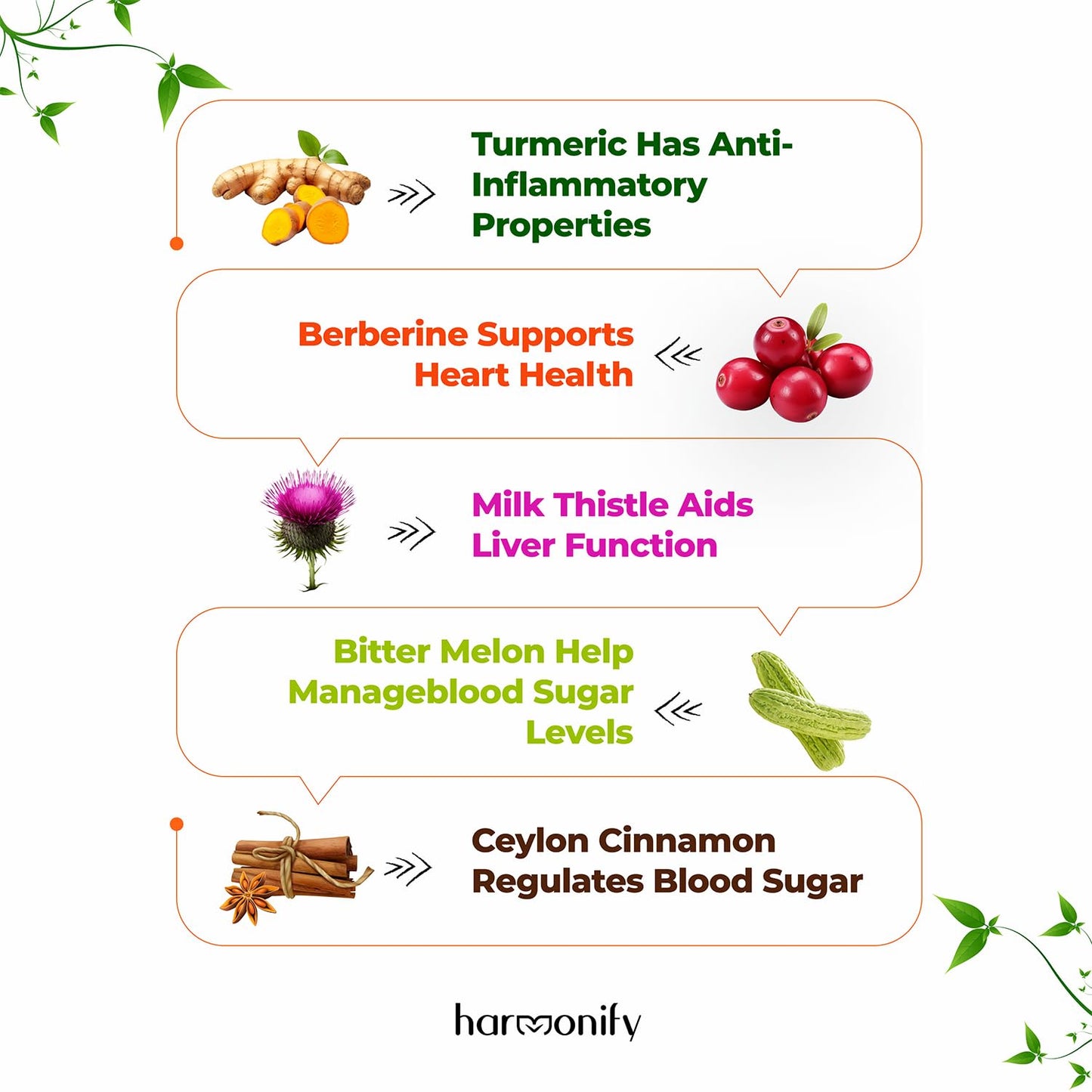 HARMONIFY Berberine Supplement with Ceylon Cinnamon, Milk Thistle, Turmeric, Bitter Melon Complex, 120 Capsules