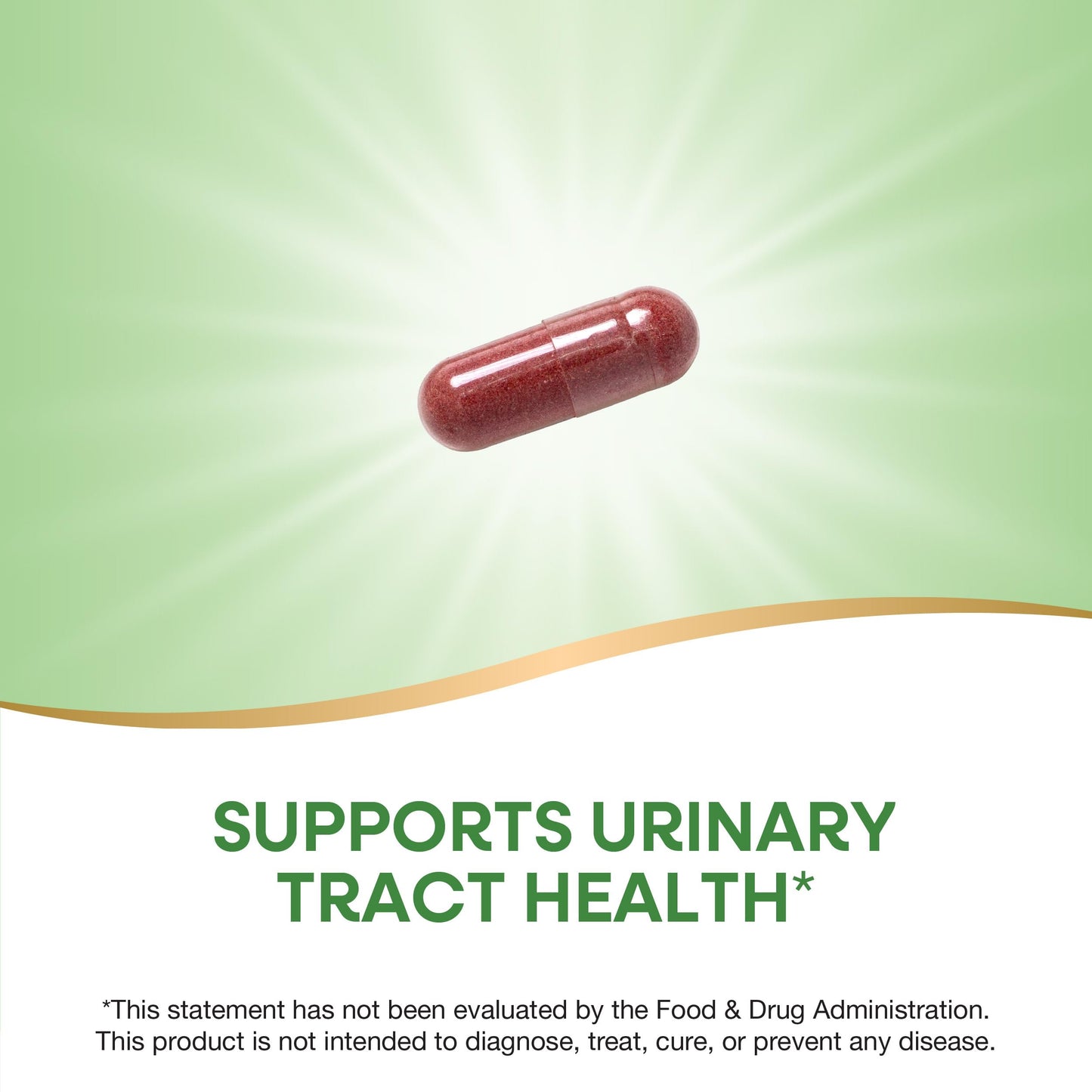 Nature's Way Premium Blend Cranberry Urinary Tract Health Support Capsules, 60 Count