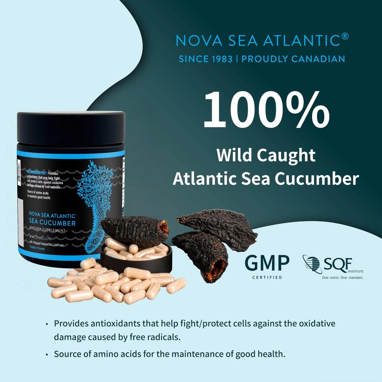 Nova Sea Atlantic Sea Cucumber Supplement 360 Capsules
