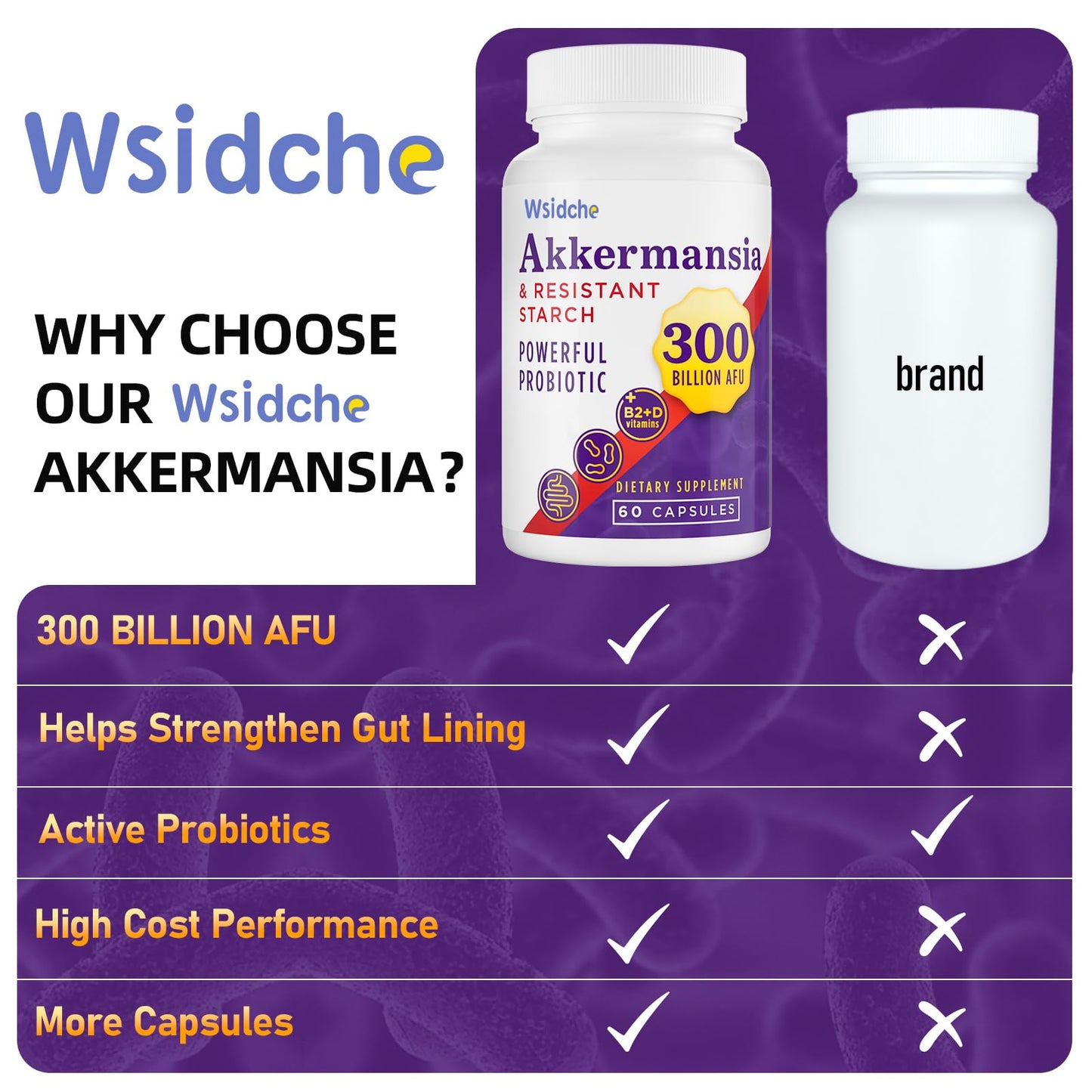 Wsidche Akkermansia Probiotic 300 Billion AFU Capsule, 60 Count