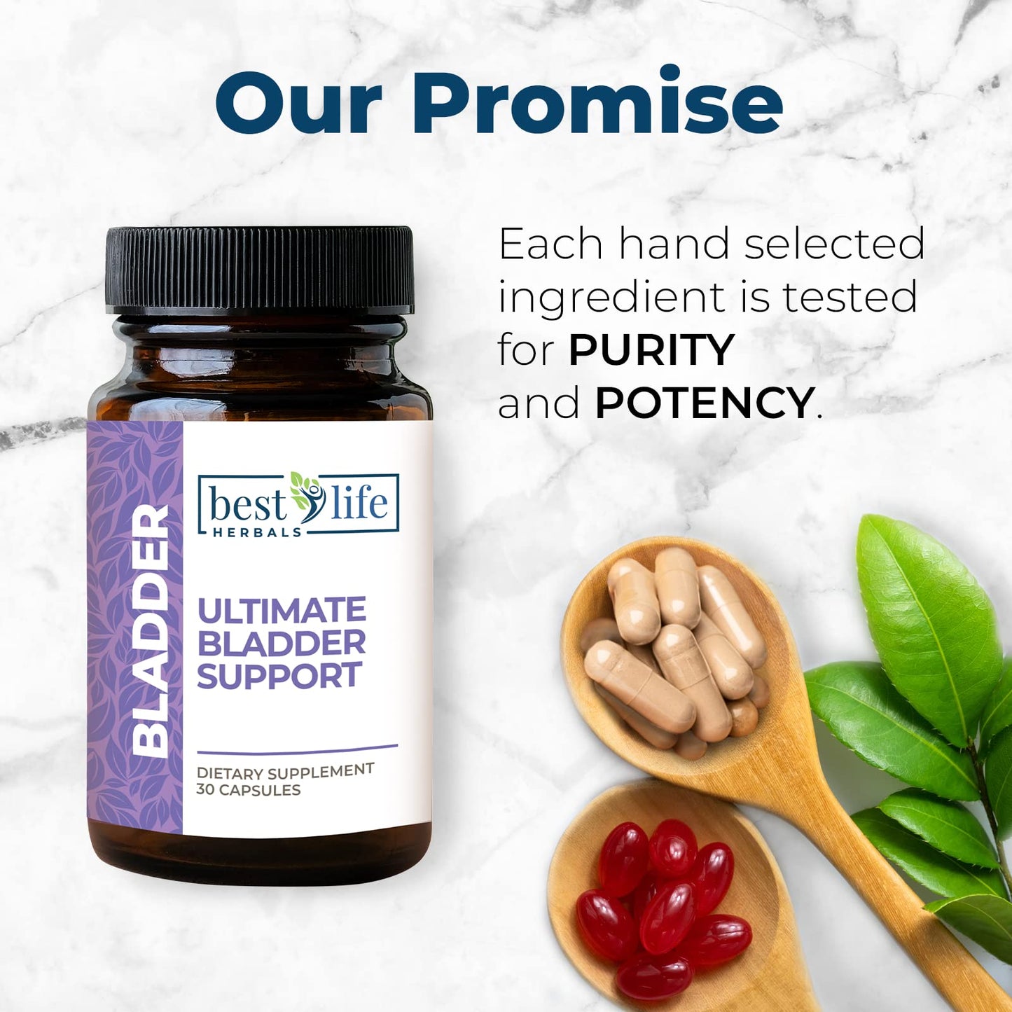 Best Life Herbals Ultimate Bladder Support Capsules, 2 Bottles