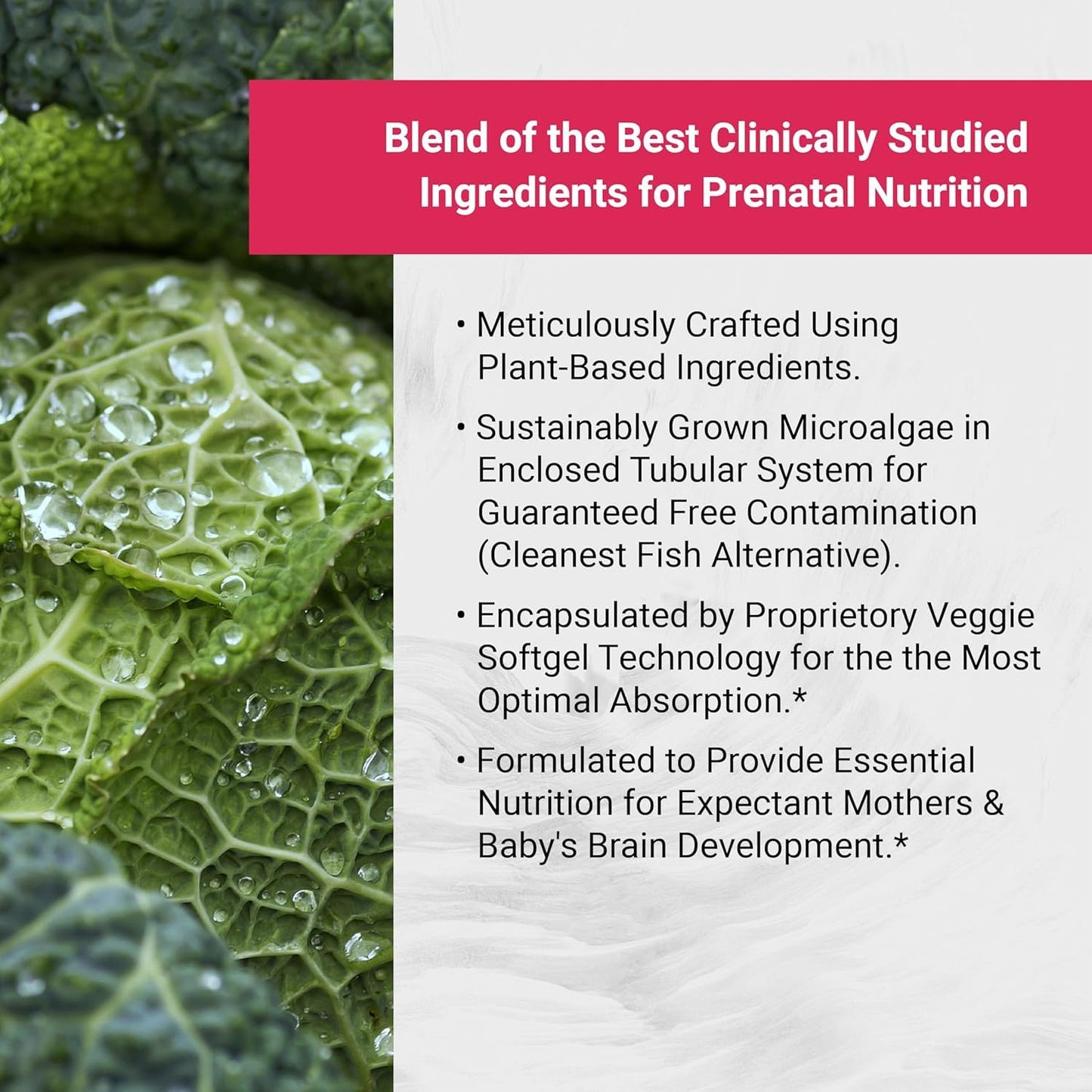 Naturalis Vegan Prenatal Softgels 60