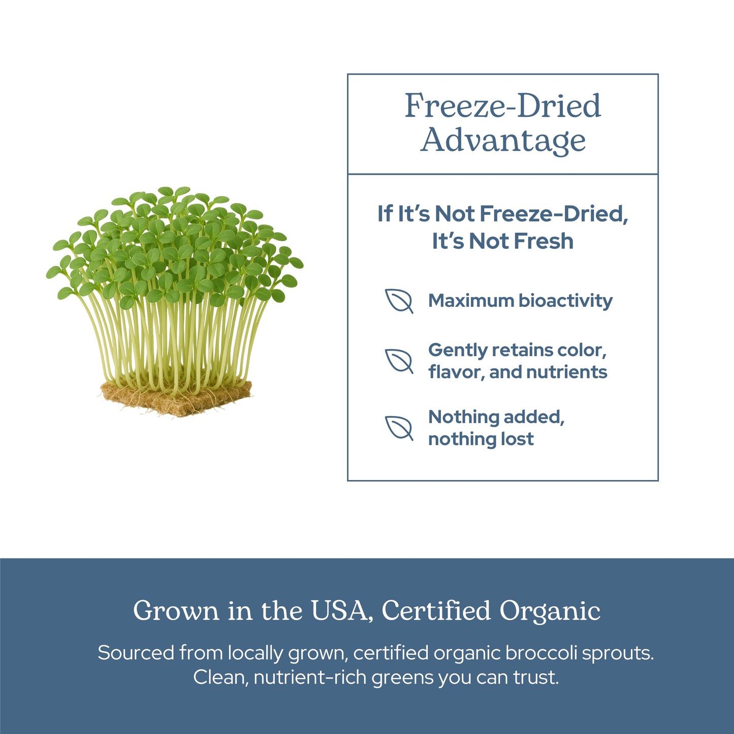 Eclectic Institute Organic Broccoli Sprouts Capsules, 150 Count