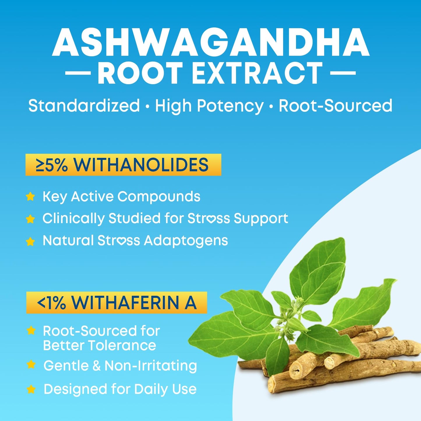 Vazatisi Ashwagandha Gummies with Turmeric GABA Mood Energy and Immune Support, Mixed Berry Flavor, 60 Gummies