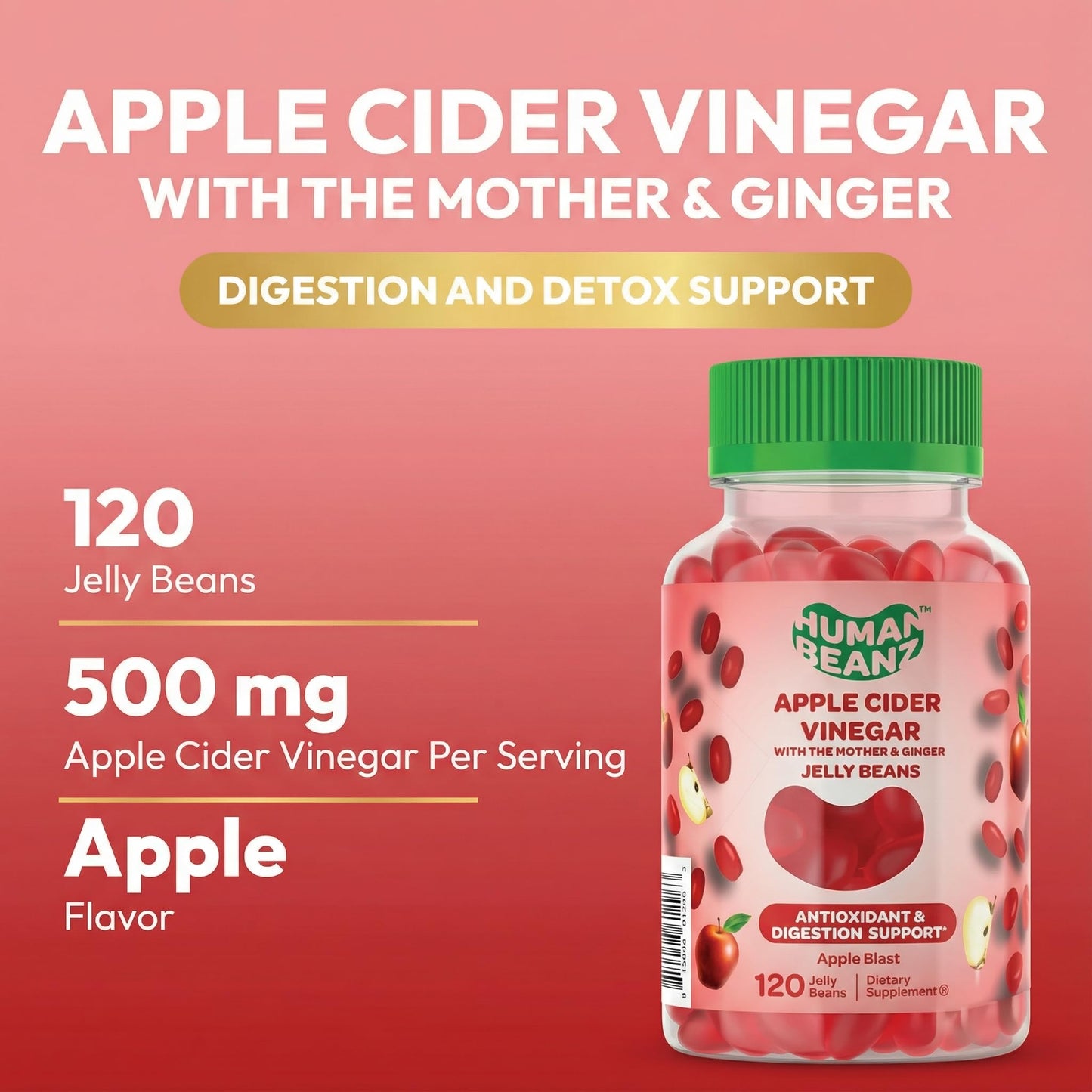 Human Beanz Apple Cider Vinegar Gummies with the Mother and Ginger, 120 Gummies