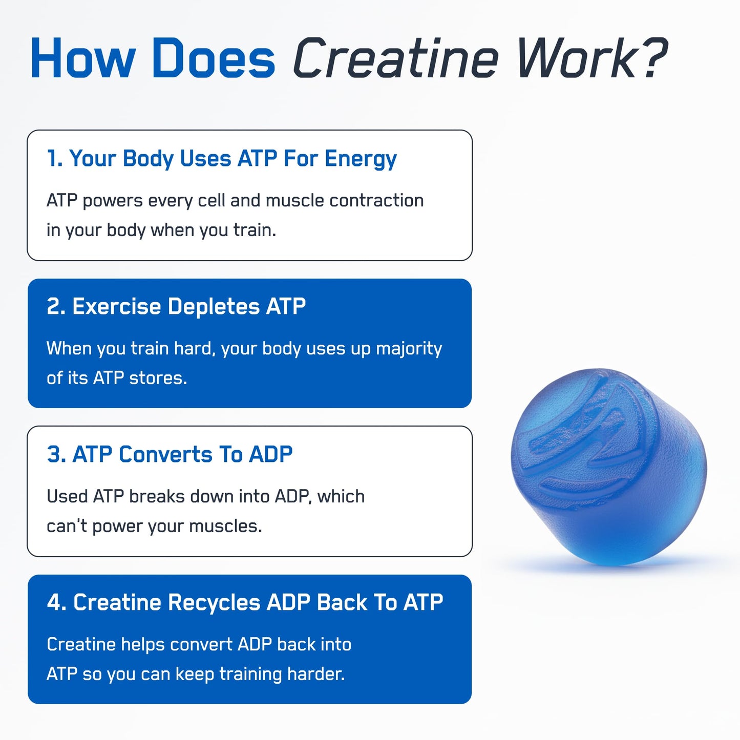 SteelFit Creapure Creatine Monohydrate Gummies, 120 Gummies