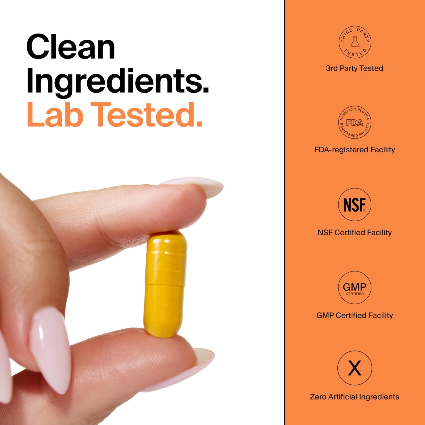 The Absorption Company Curcumin - Turmeric Supplement Capsule 60 Count