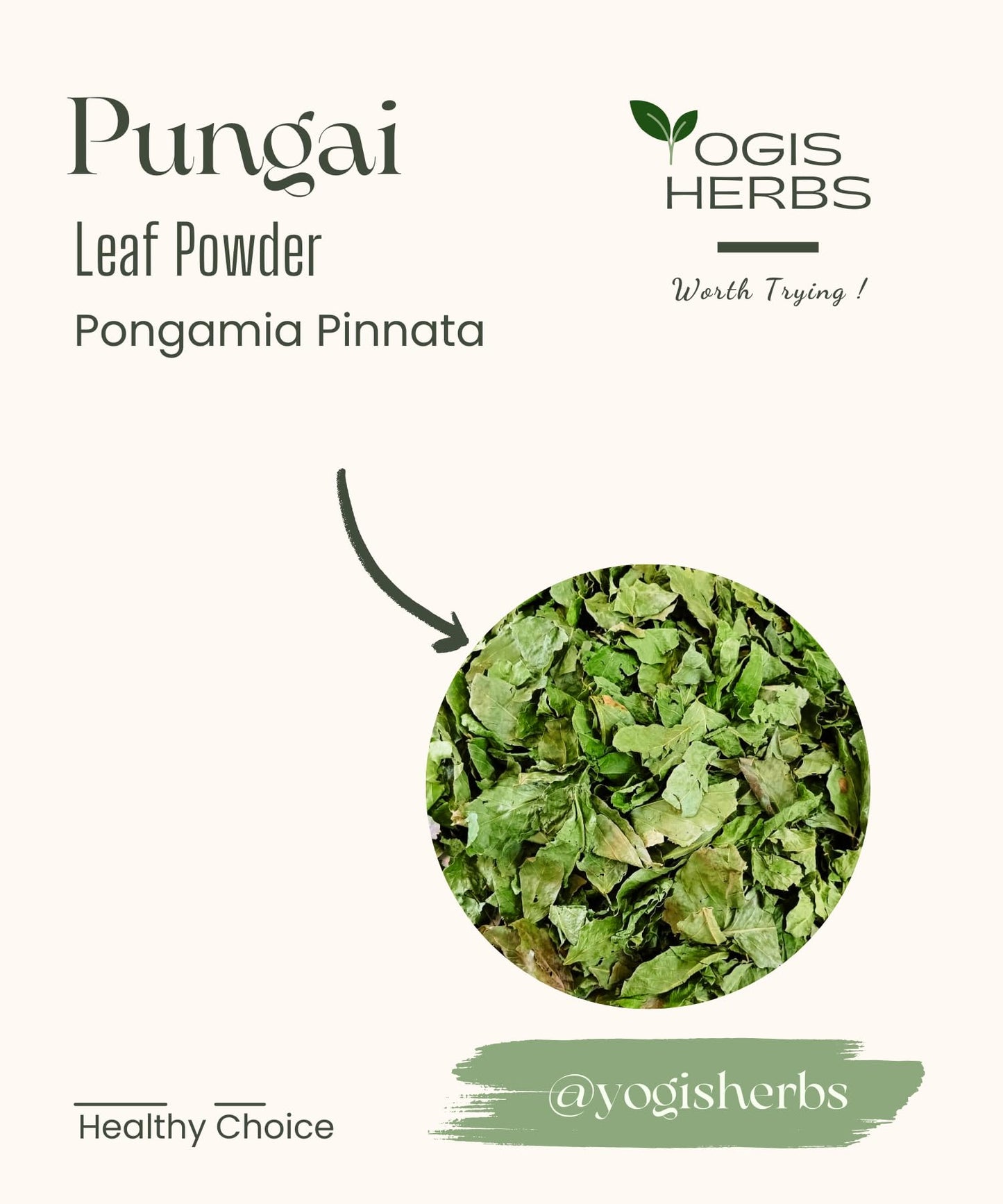 YOGIS HERBS Pungai Leaf Powder, 16 oz