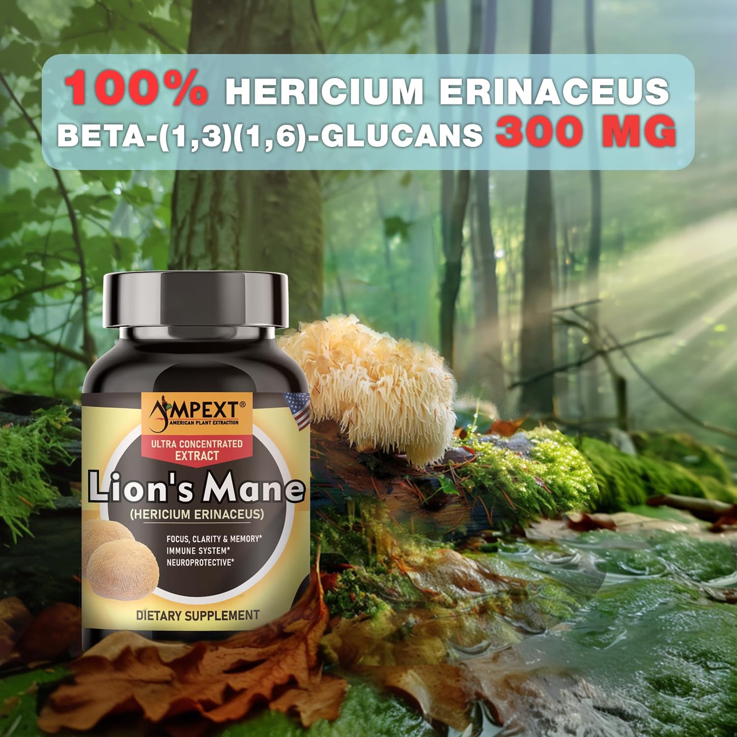 AMPEXT Lion’s Mane Mushroom Extract Capsule 90 Count