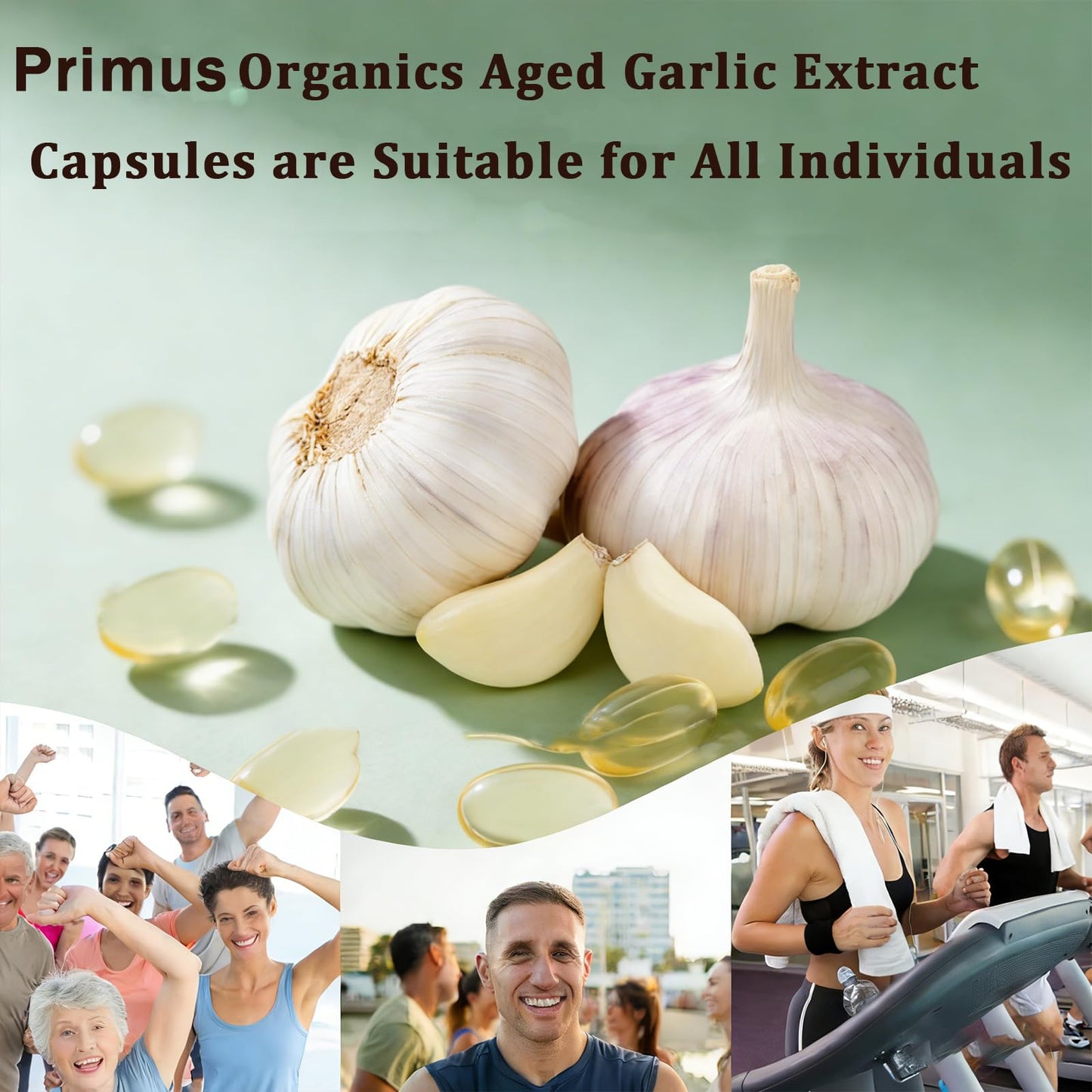 Primus Organics Aged Garlic Extract Softgels 300