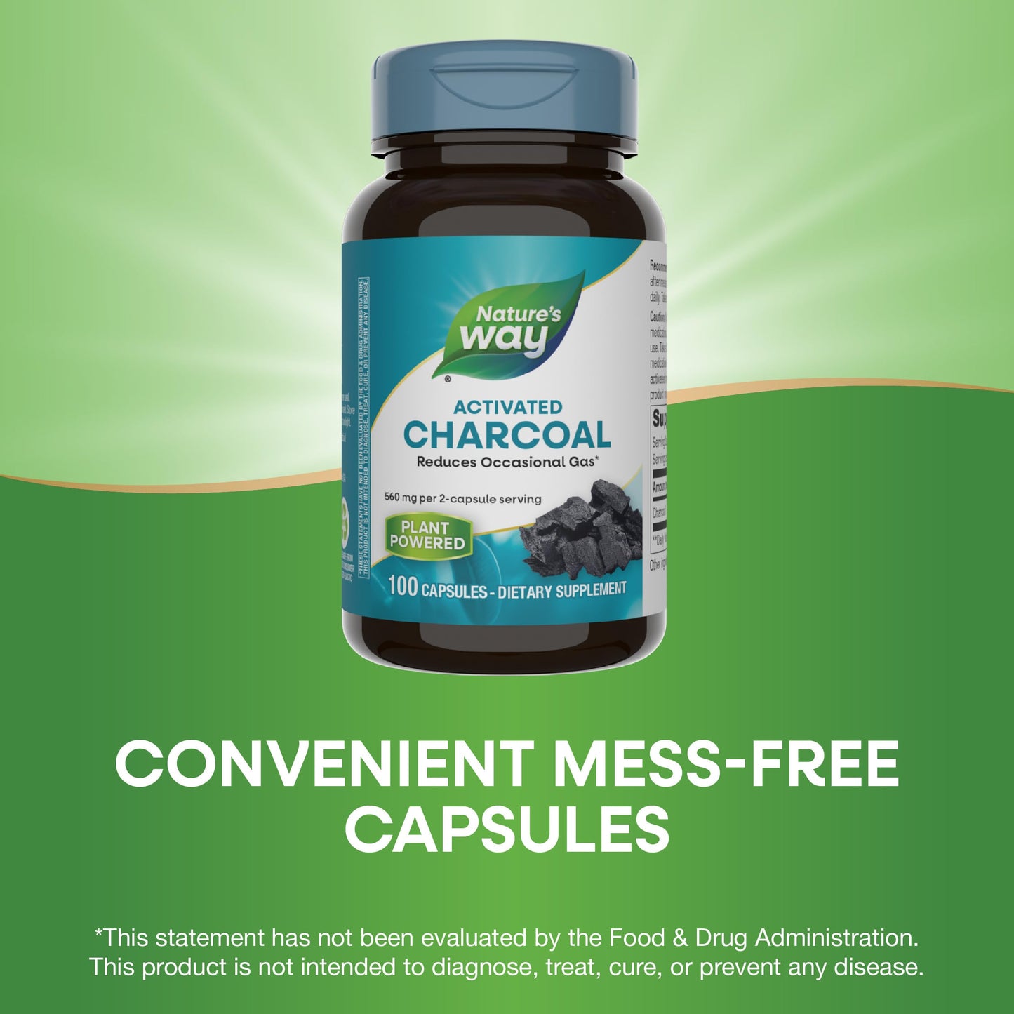 Nature's Way Activated Charcoal Capsules, 200 Count (Pack of 2)