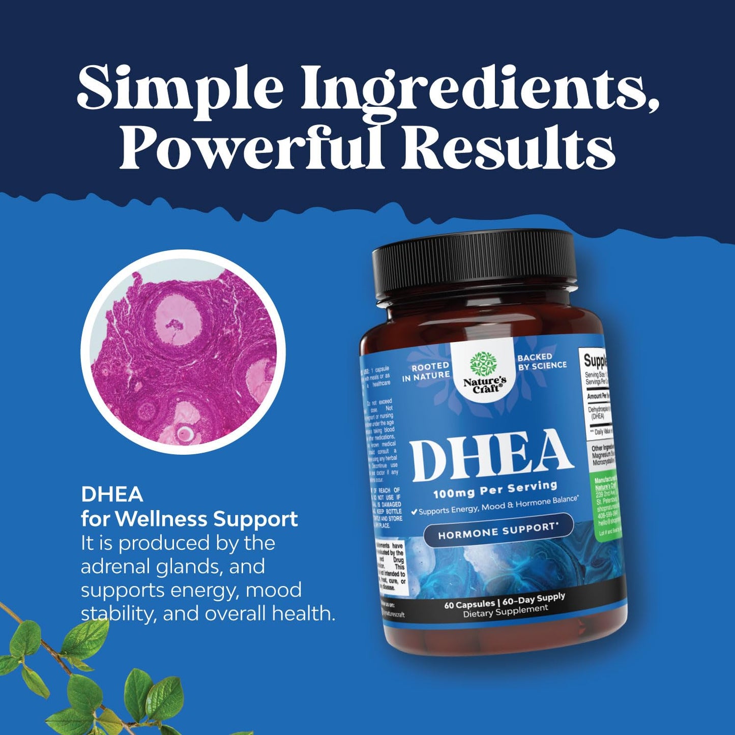 Natures Craft DHEA 100mg Capsule, 60 Count