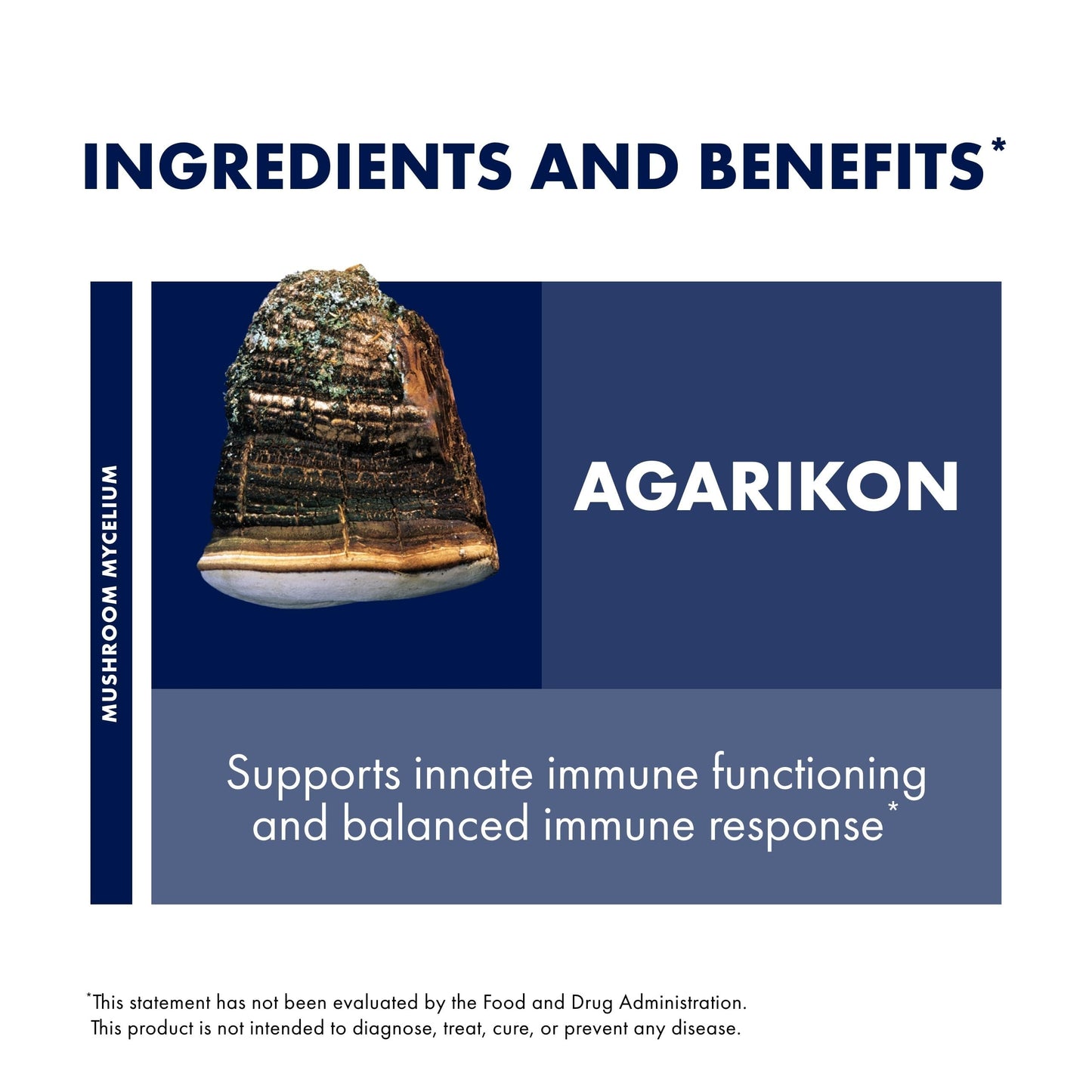 Host Defense Agarikon Capsules 120 Count