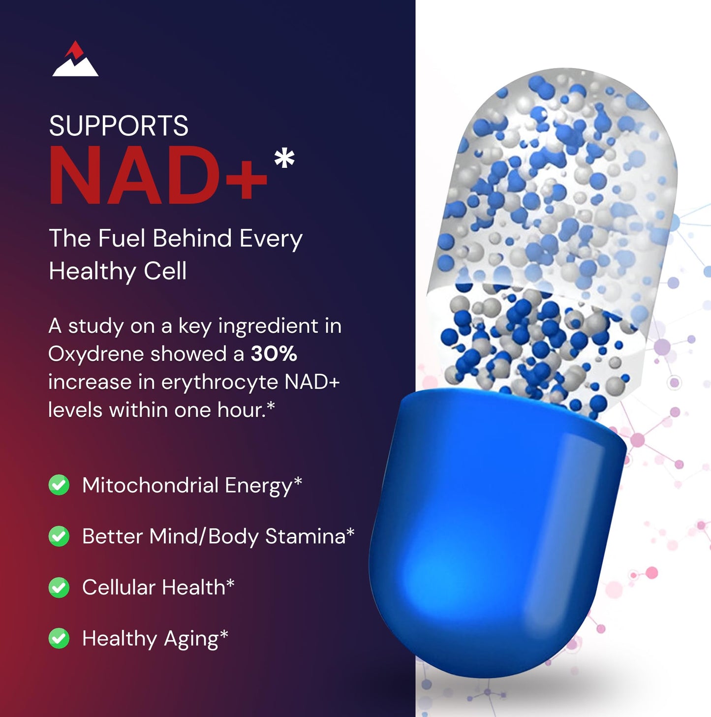 Novex Biotech Oxydrene NAD+ Support Vo2 Max Boost Energy + Endurance Capsules 60