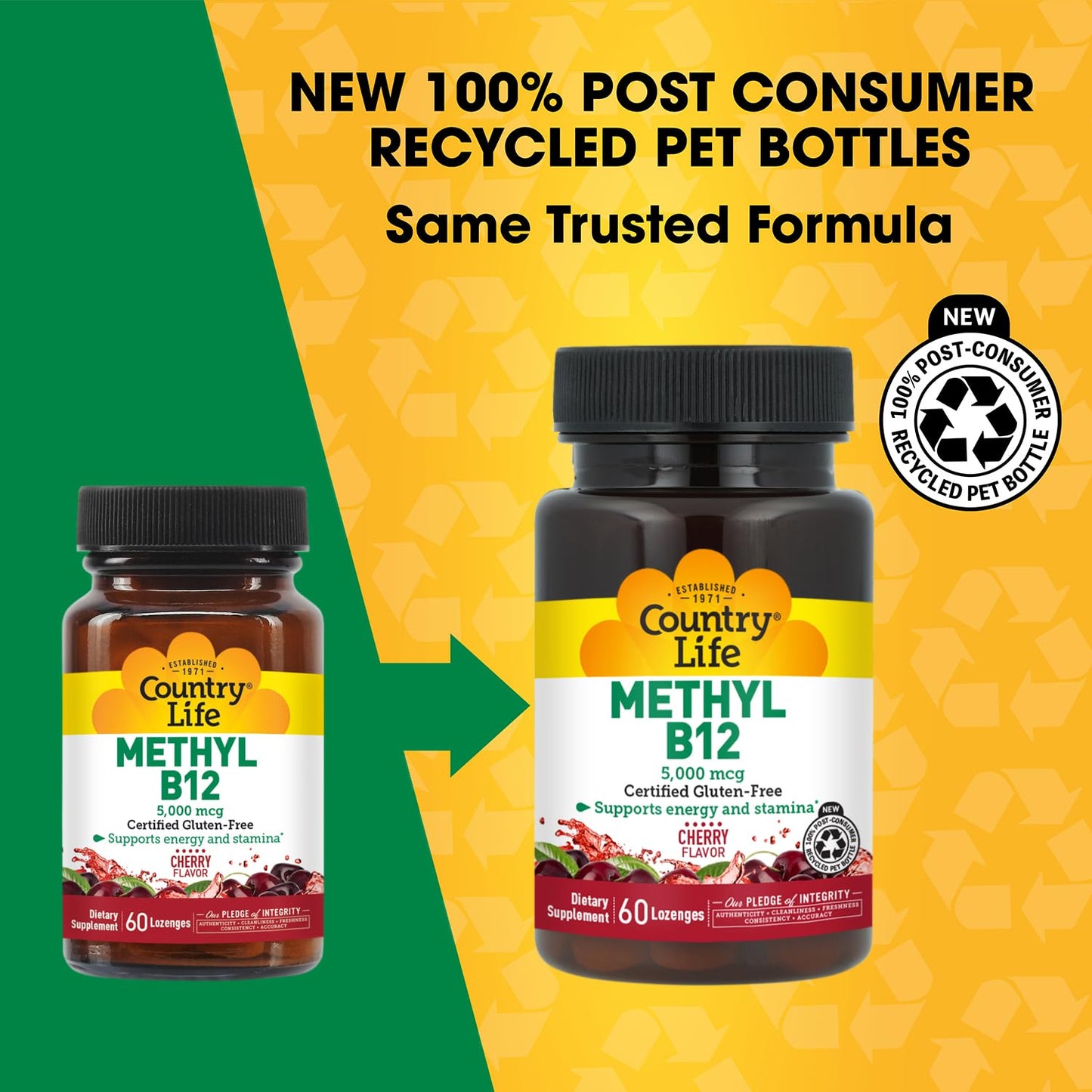 Country Life Methyl B12 5000mcg Chewable 60 Count