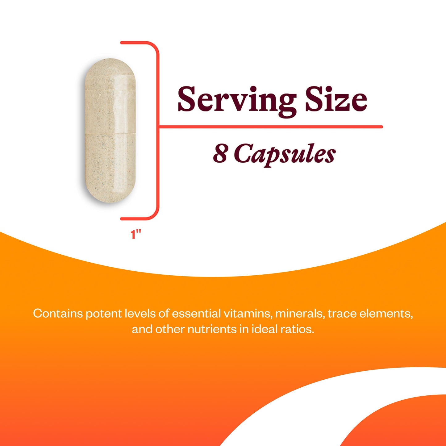 Seeking Health Optimal Multivitamin 240 Capsules