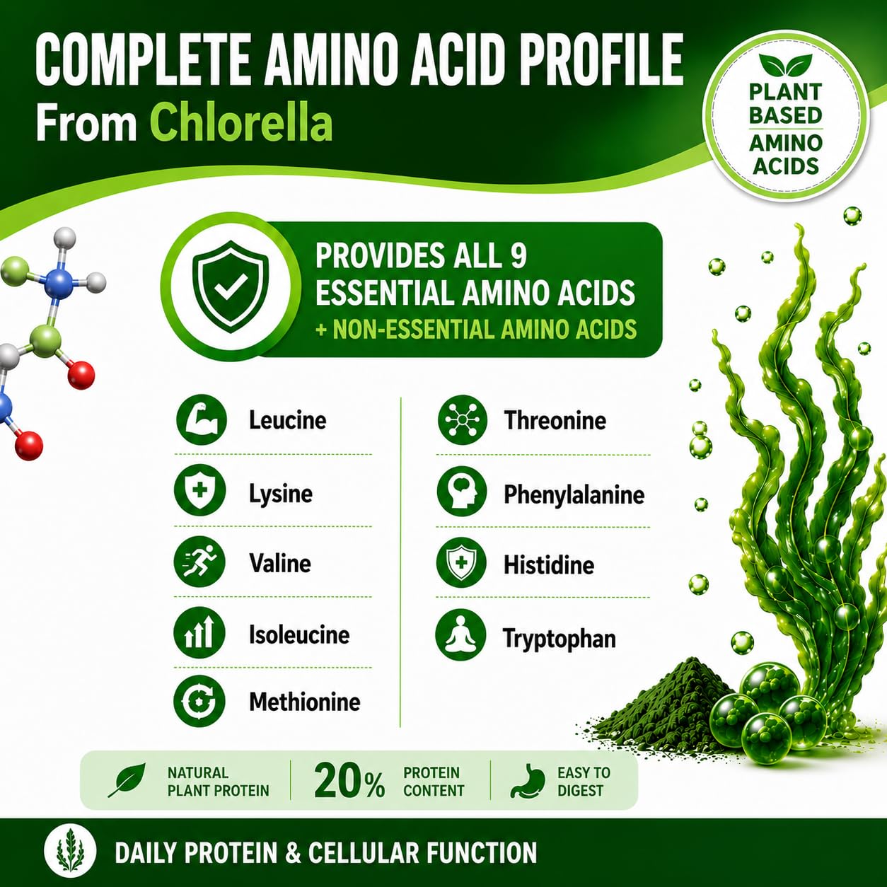 HCL HERBAL CODE LABS Chlorella 3000 mg Cracked Cell Wall Blue-Green Algae Capsule, 180 Capsules