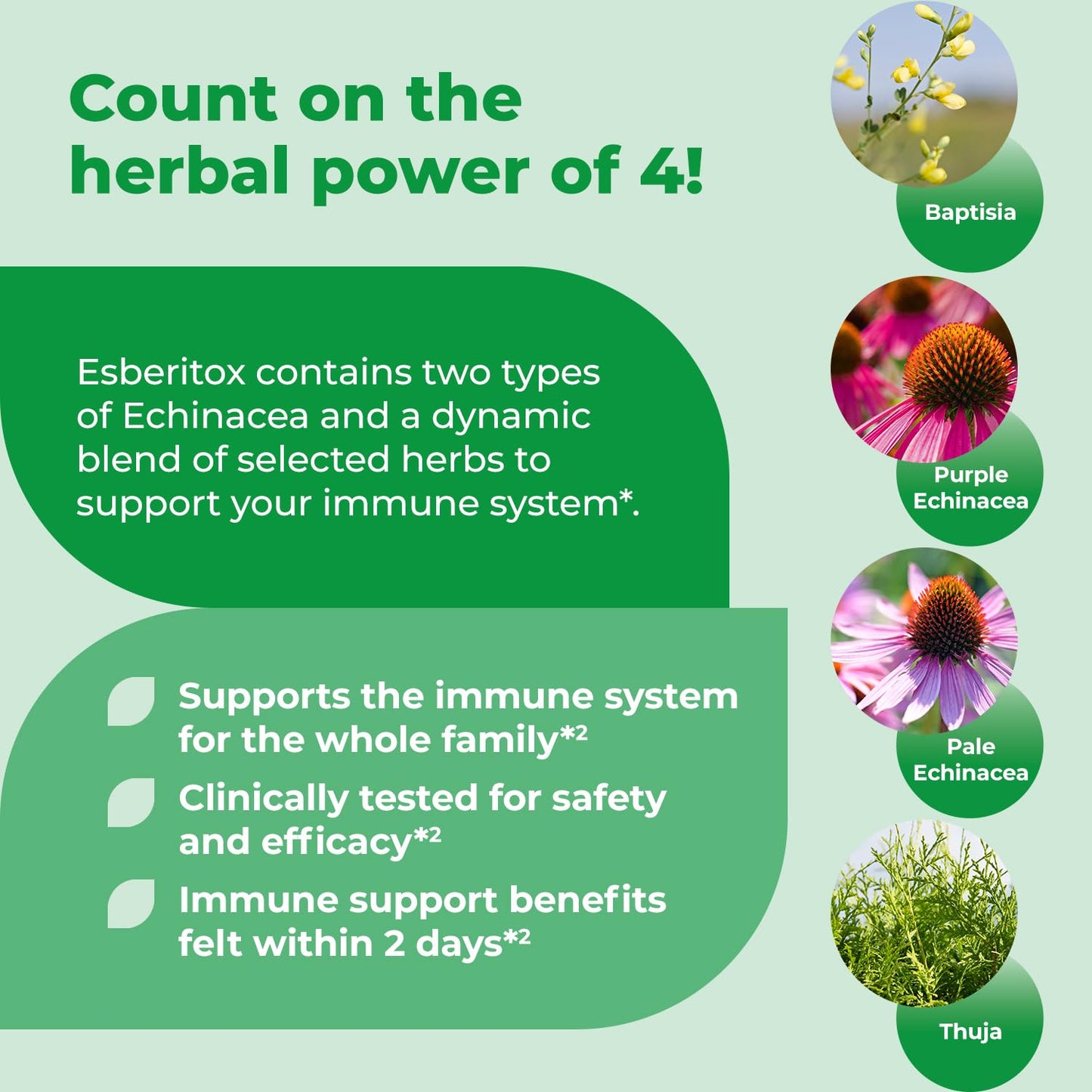 ESBERITOX Supercharged Echinacea Tablets 200