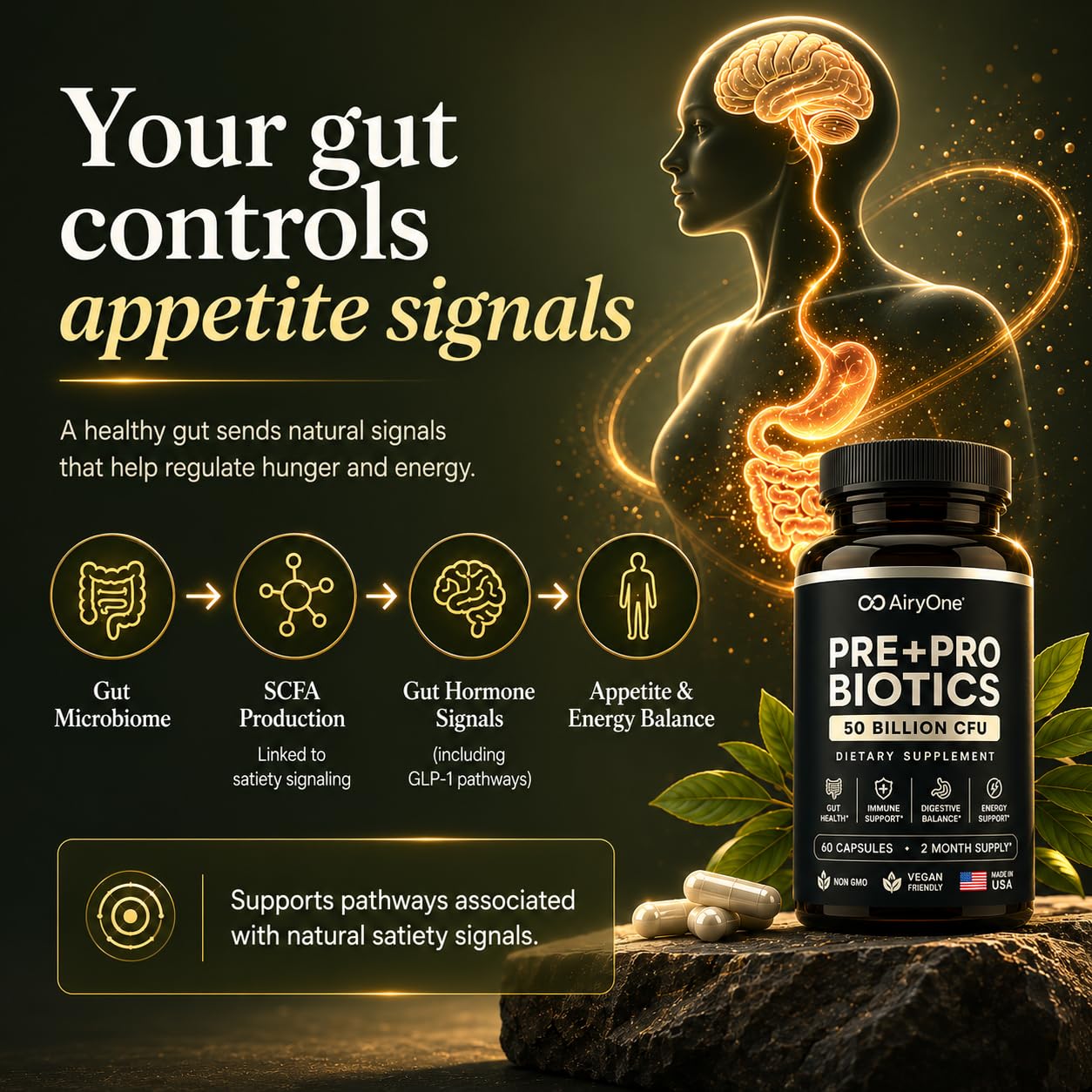 airy one Pre + Probiotic 50B CFU – Advanced Gut, Digestive & Immune Support, High Potency, Shelf Stable, Vegan, Non-GMO, Made in USA, 60 Capsules