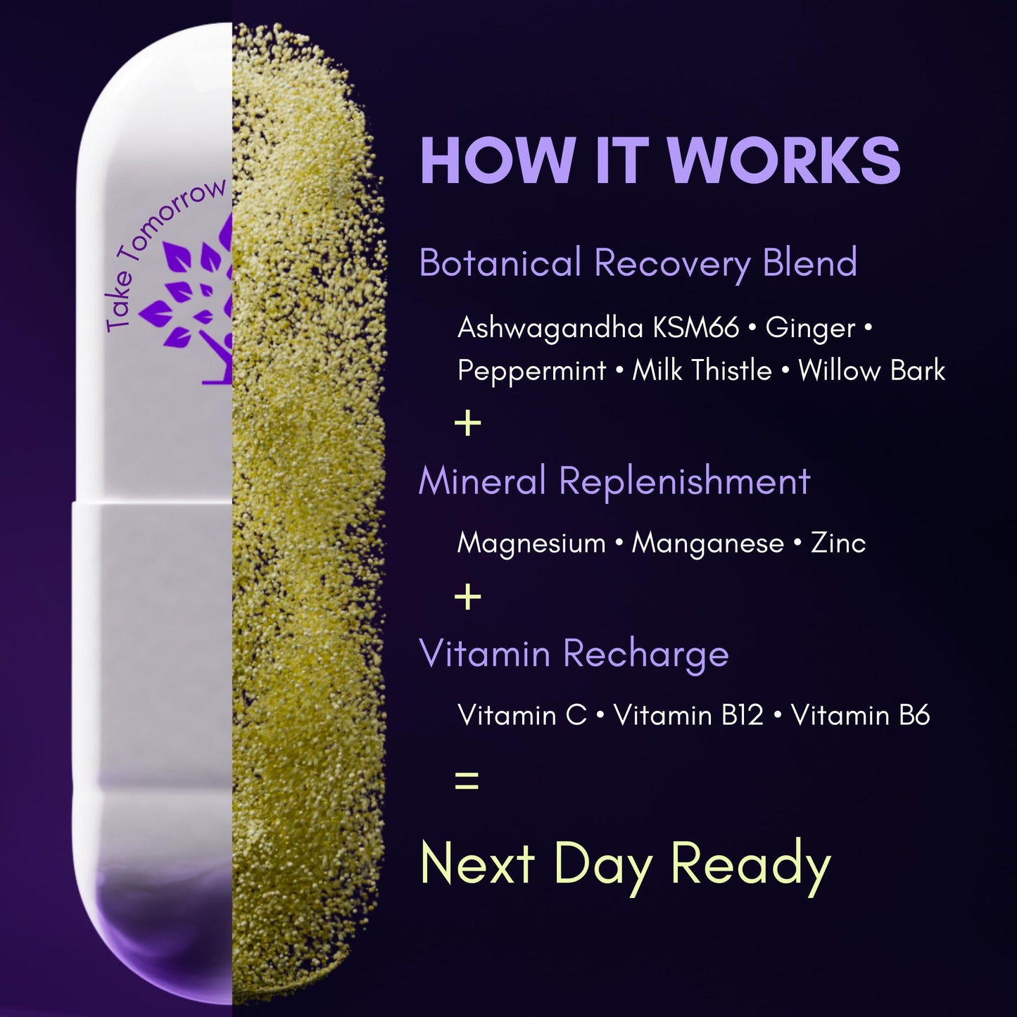 Purple Tree Next Day Post-Drink Morning Wellness Supplement for Balance, Restore & Replenishment Capsules, 90