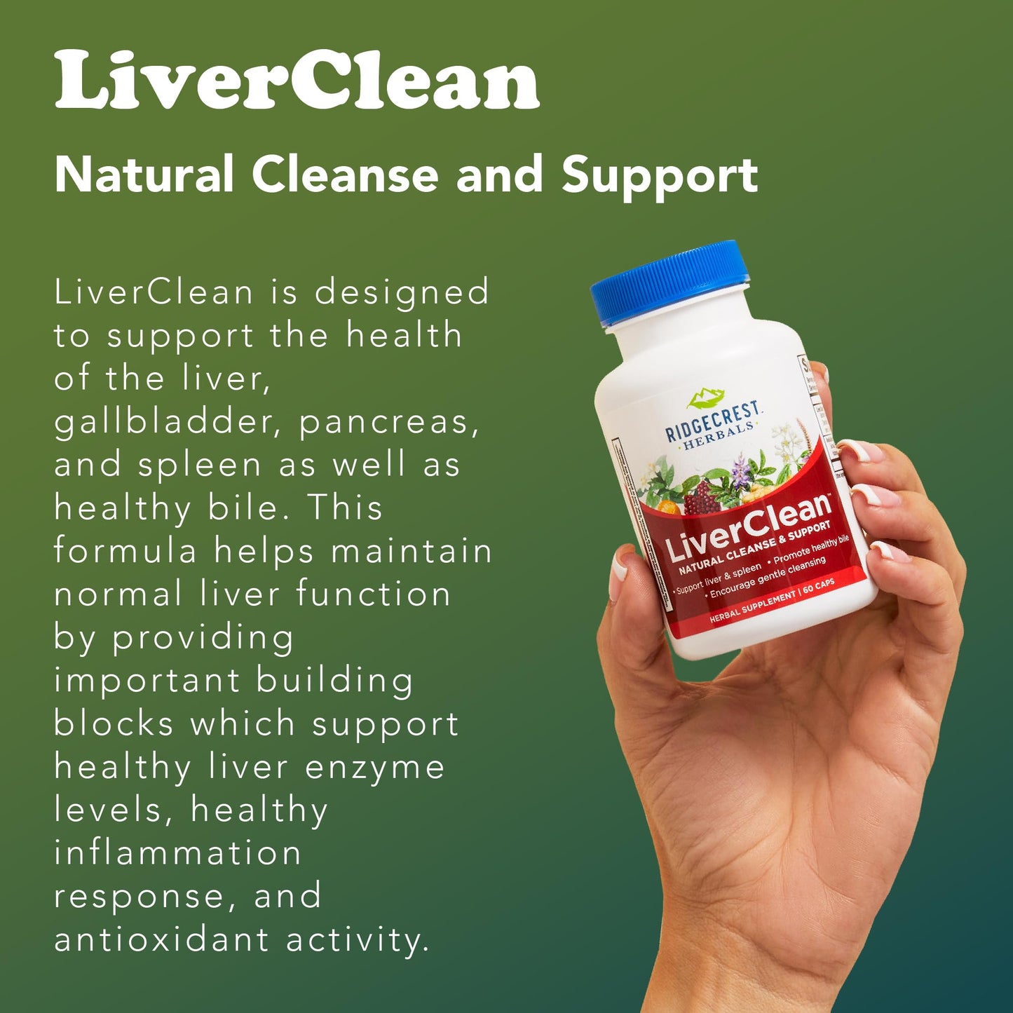 RidgeCrest Herbals LiverClean Herbal Liver Support Formula 60 Capsules