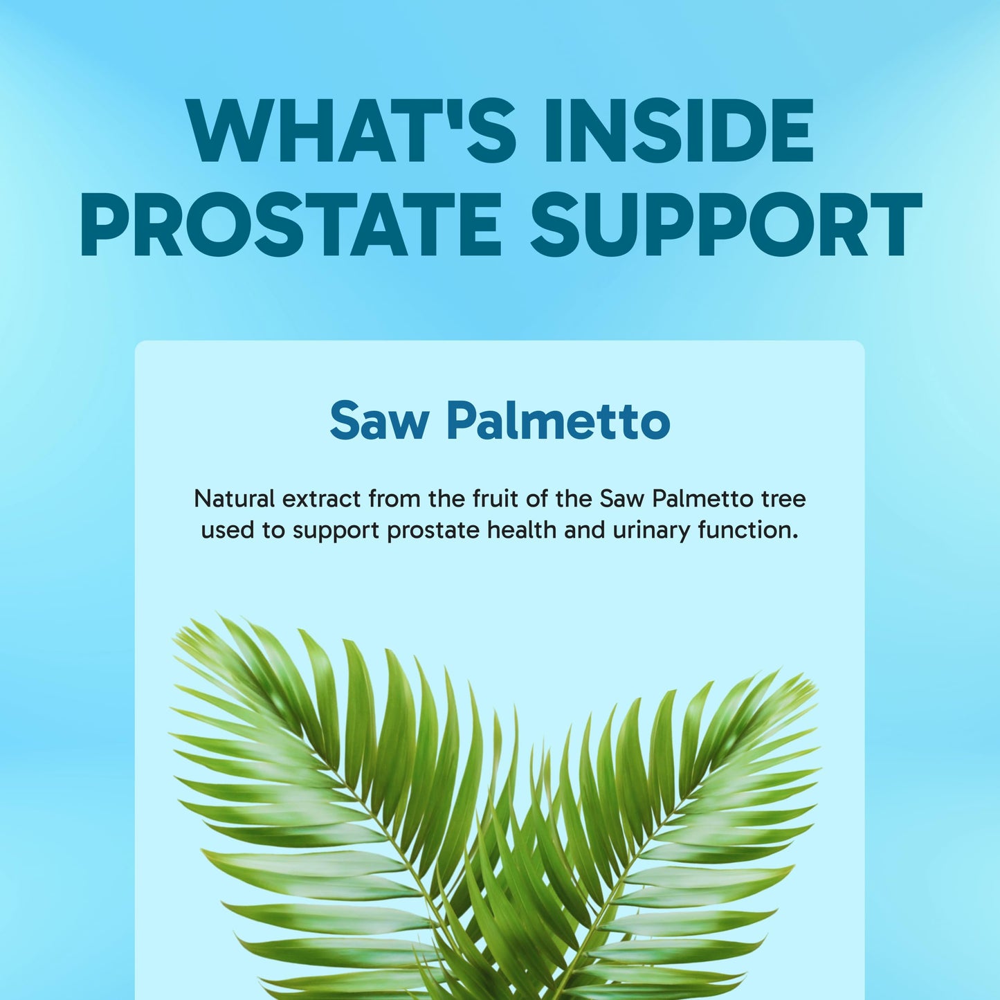Clinical Effects Prostate Health Supplement - Prostate Support and Men's Health Formula 60 Capsules