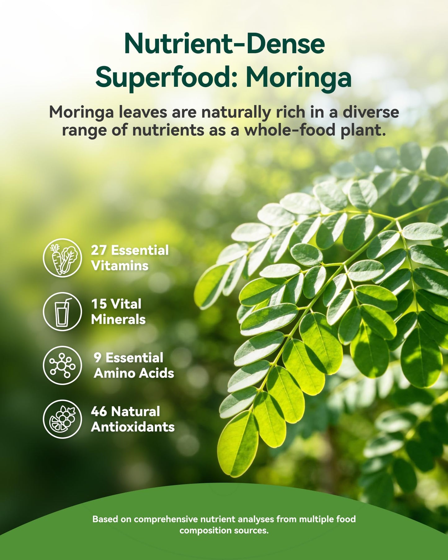 Inner Brightness Moringa Gummies 1000mg Per Serving – 10:1 Moringa Leaf Extract Green Superfood for Energy & Immune Support – Vegan, Non-GMO, 60 Count