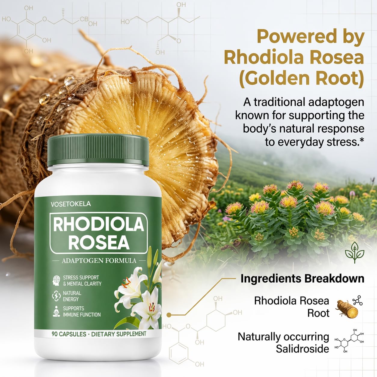 VOSETOKELA Rhodiola Rosea Capsules 90 Count