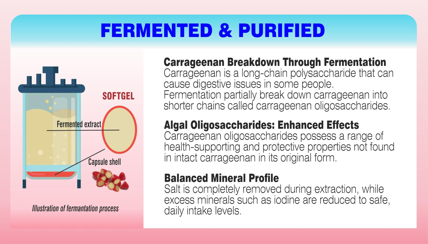PHARMAKON Fermented Red Marine Algae Complex, Gigartina & Dulse, Reduced Carrageenan Content Softgel 120