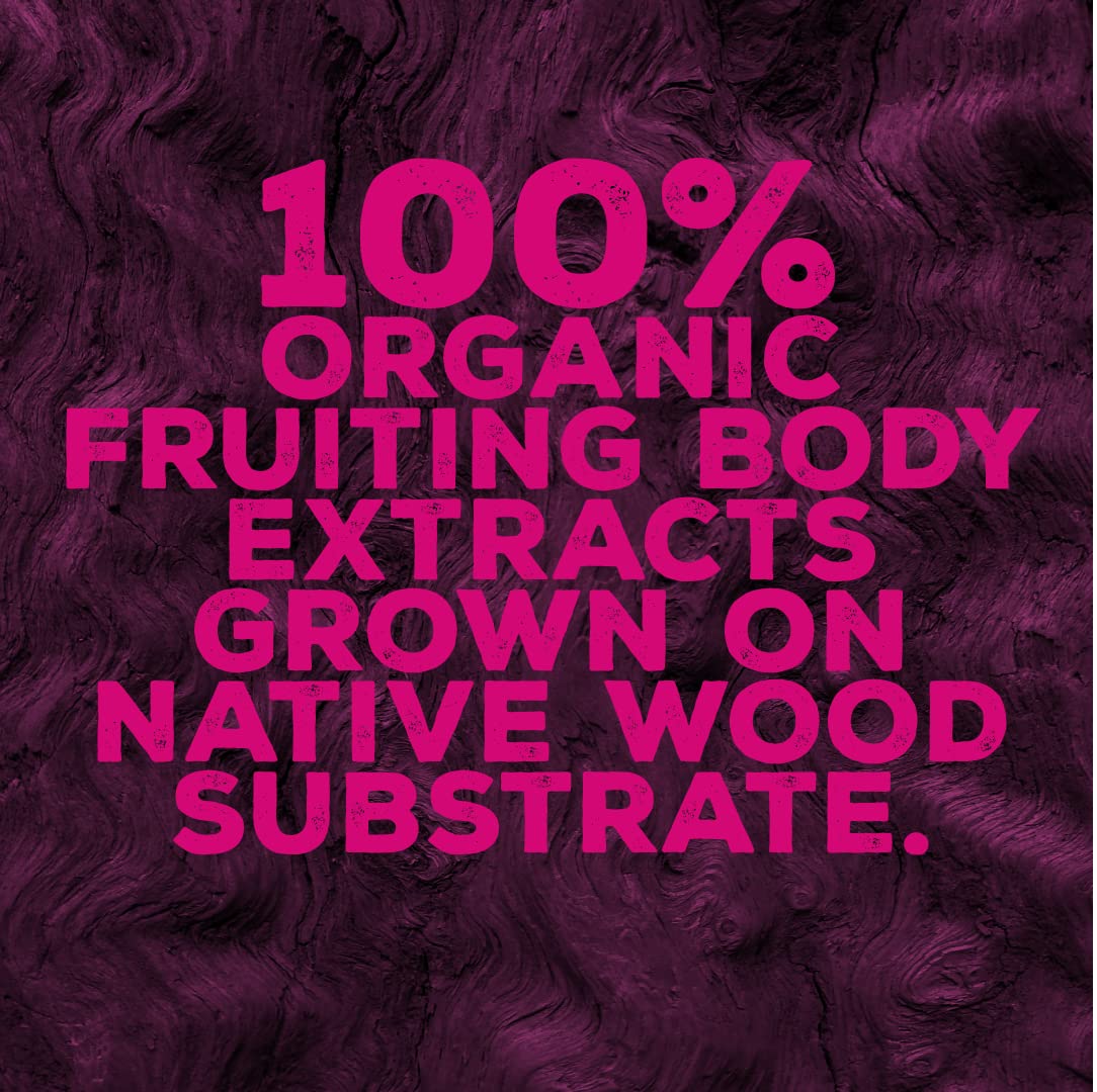 OH MY FUNGI GUMMIES Mushroom Supplement Gummies for Immunity – Reishi, Turkey Tail, Chaga, Zinc, D3 – Vegan Gummy for Healthy Immune Support - Elderberry Blueberry Flavor, 60 Count