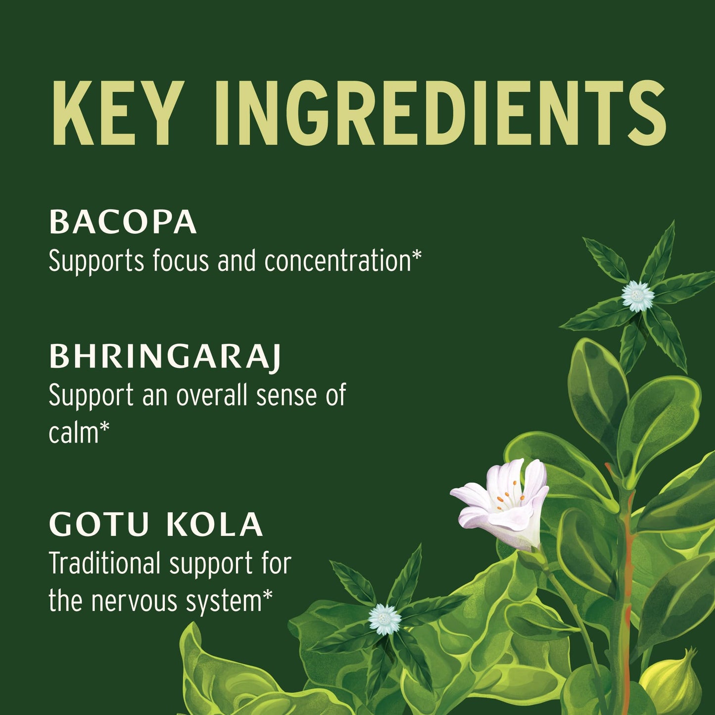 Banyan Botanicals Organic Mental Clarity – Herbal Alertness & Focus Supplement with Bacopa & Gotu Kola – Natural Support for a Calm Mind & Sustainable Mental Energy, 90 Tablets