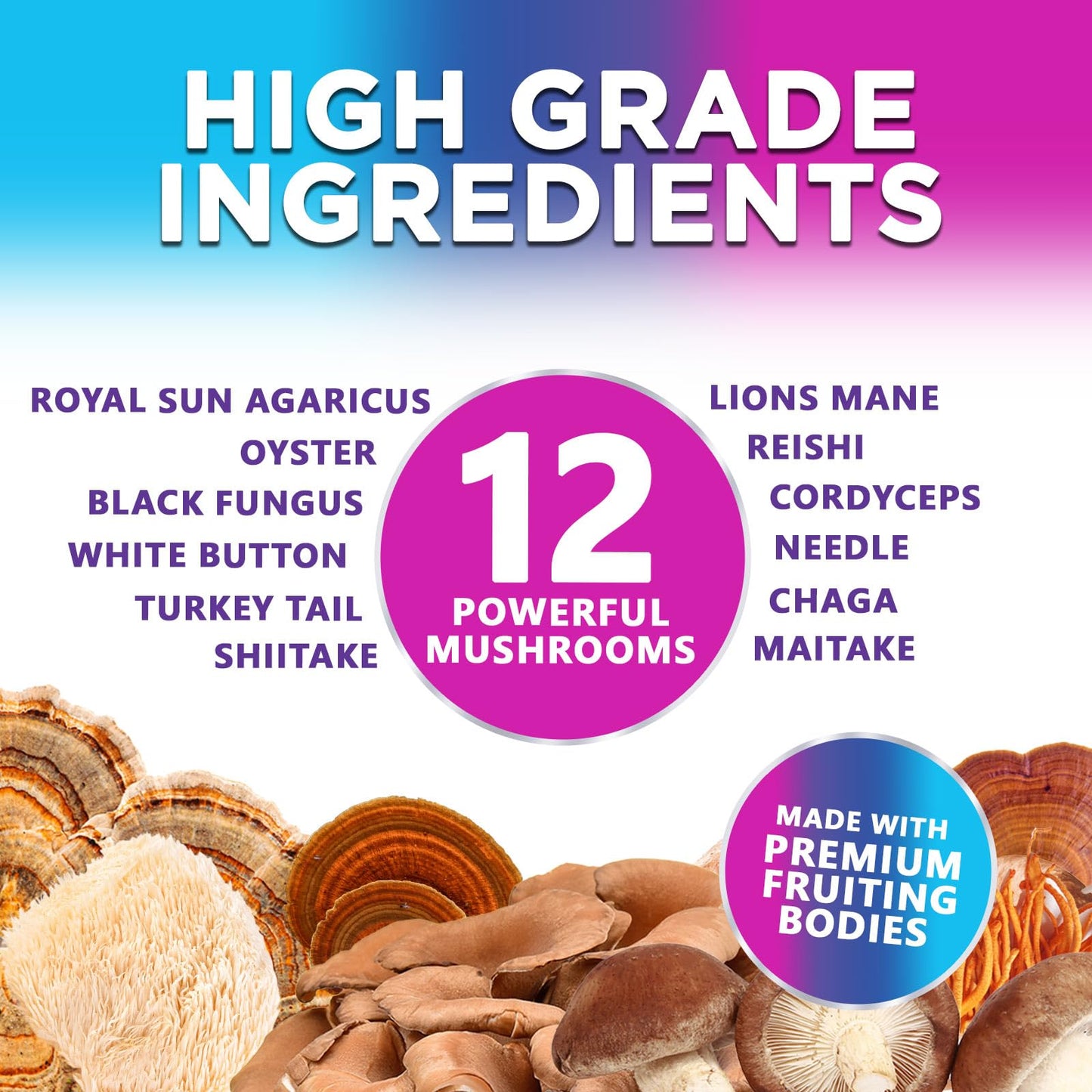 Nature's Nutrition Mushroom Gummies 12 in 1 Complex - Lions Mane, Reishi, Cordyceps & Chaga, Memory & Immune Support, Nootropic Brain Supplements, 60 Count