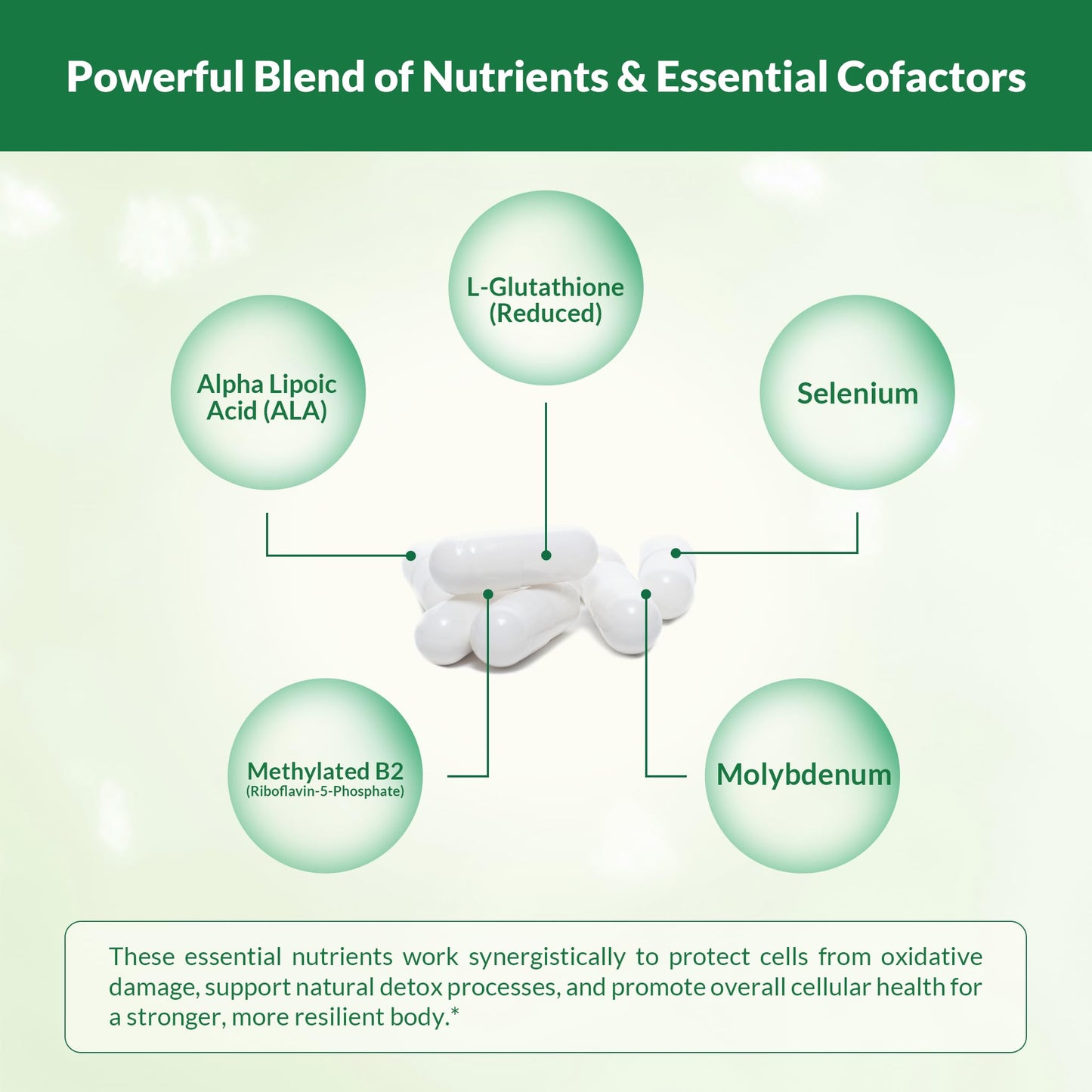 Natural Wellness Glutathione Supplement Liposomal Glutathione with Cofactors for Antioxidant, Liver Detox & Immune Support – Vegan Glutathione Capsules, Non-GMO, 60 Count