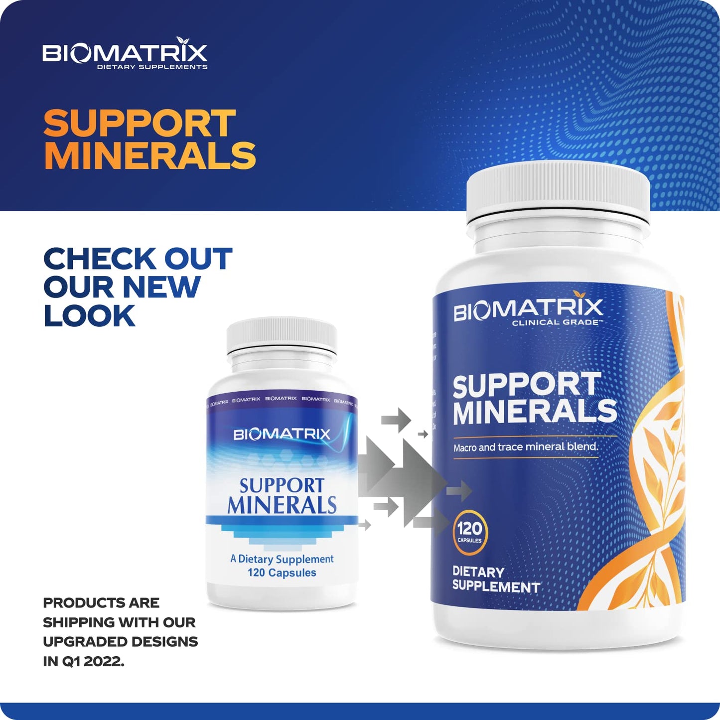 BioMatrix Mineral Supplement for Men and Women, Chelated Minerals Capsule 120