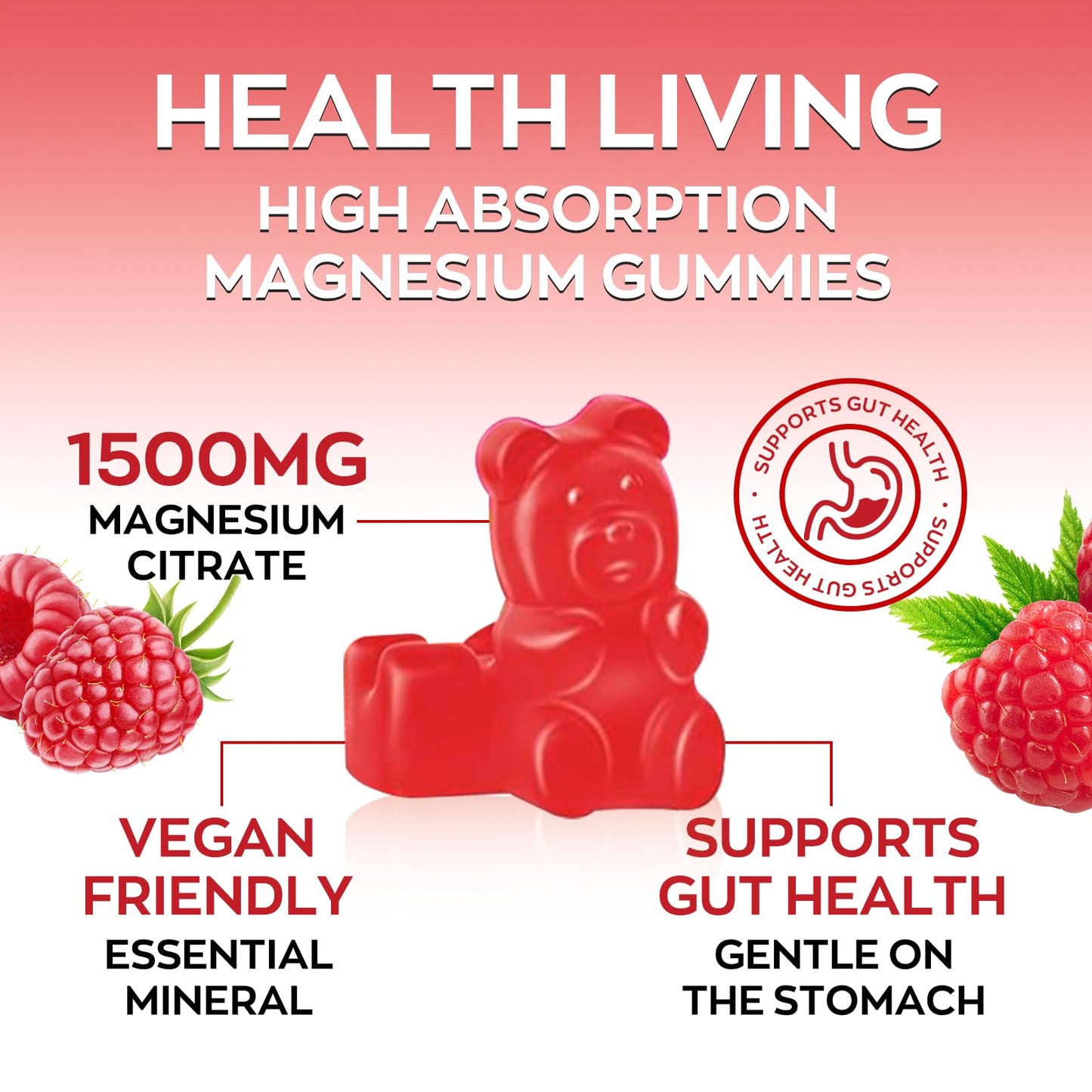 Yidout High Absorption Magnesium Gummies for Adults, Raspberry Flavor, Vegan, Non-GMO, 60 Count