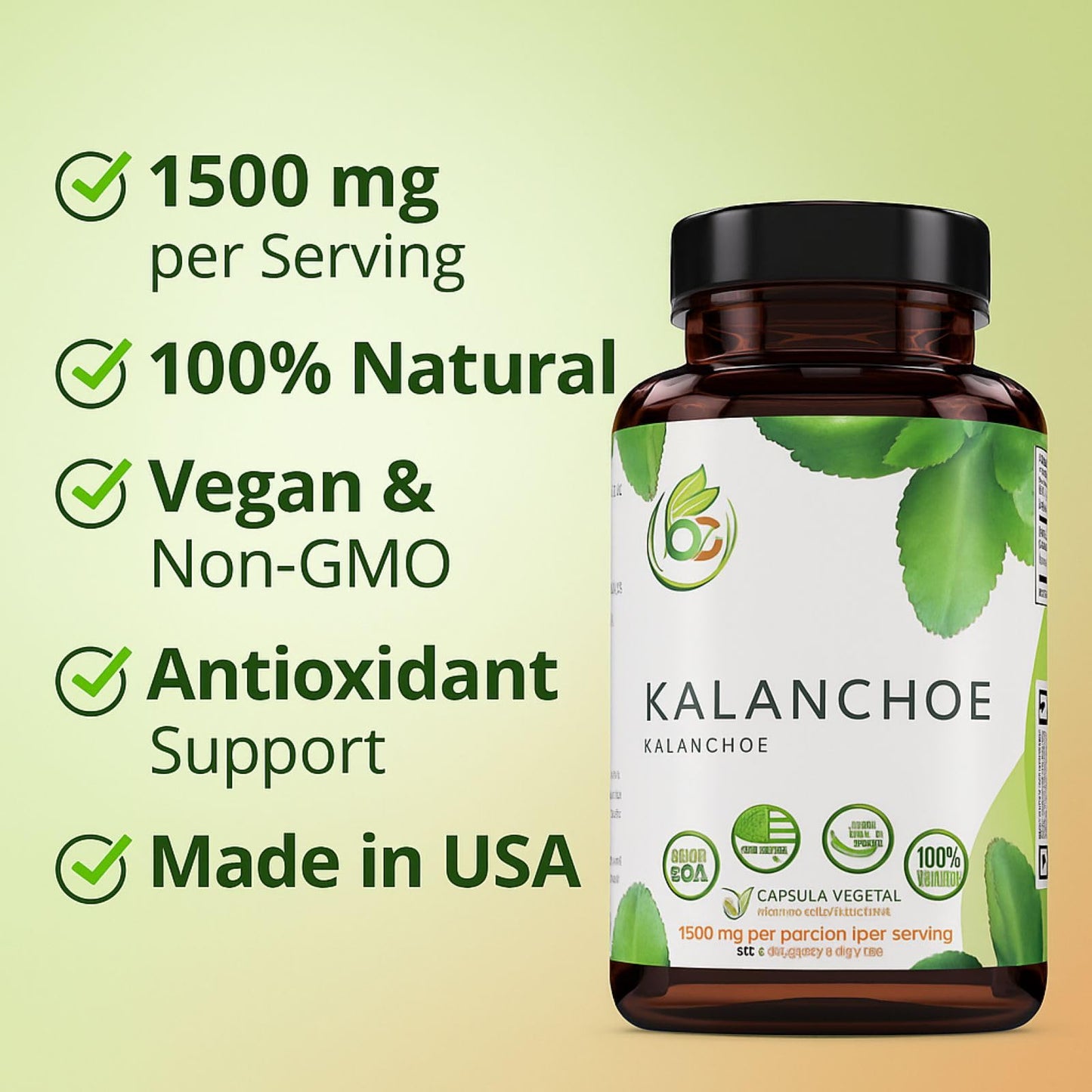 B-Experts Kalanchoe Pinnata Forte Leaf of Life Capsule 90 Count